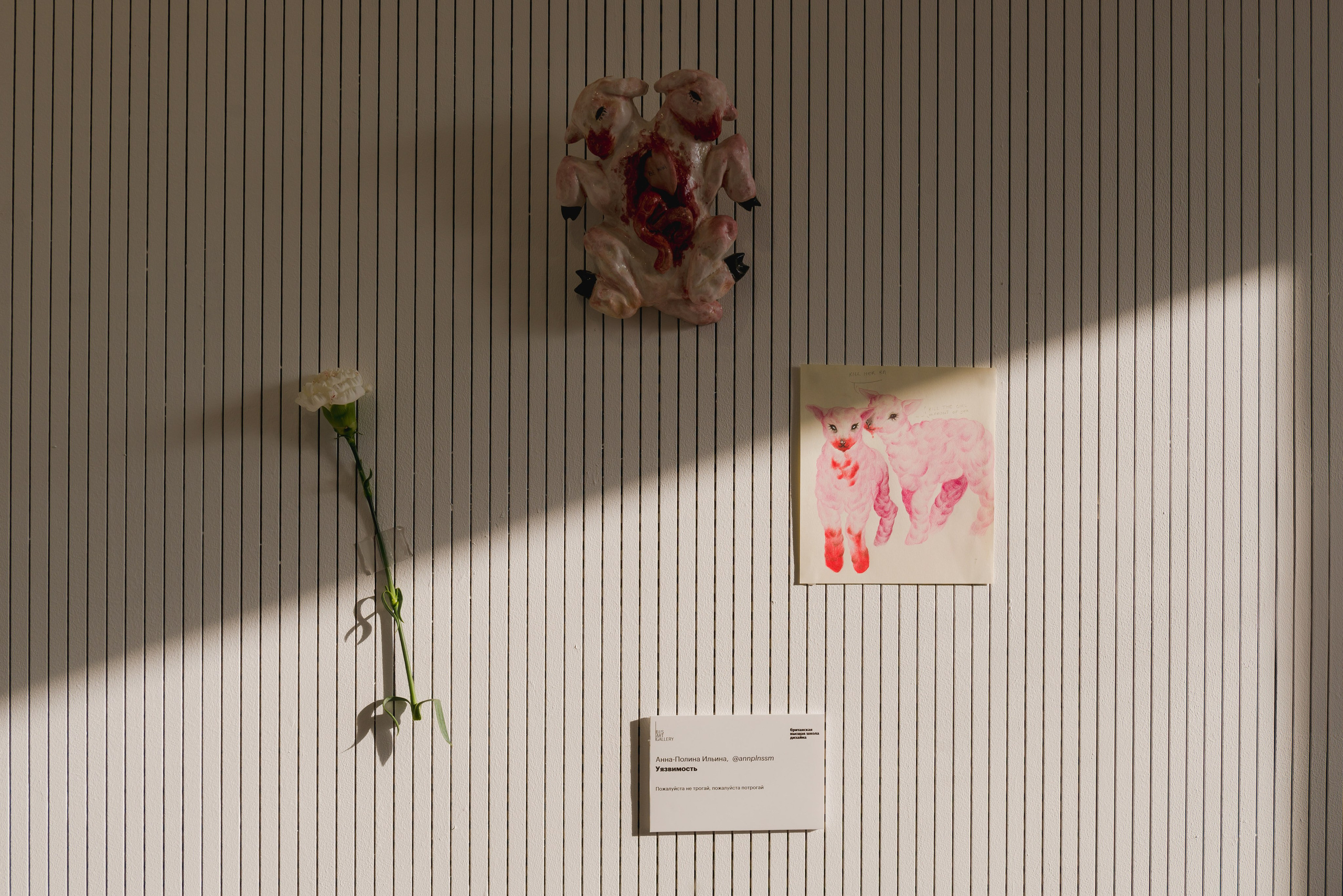 Выставки. Фотограф Руслан Хафизов