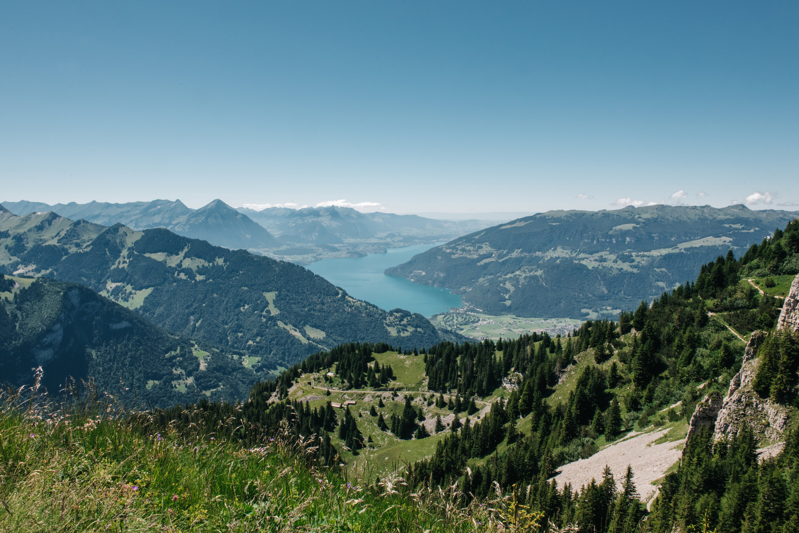 Yvonne & Andrew (Schynige Platte, Brienz). Photographer in Interlaken area