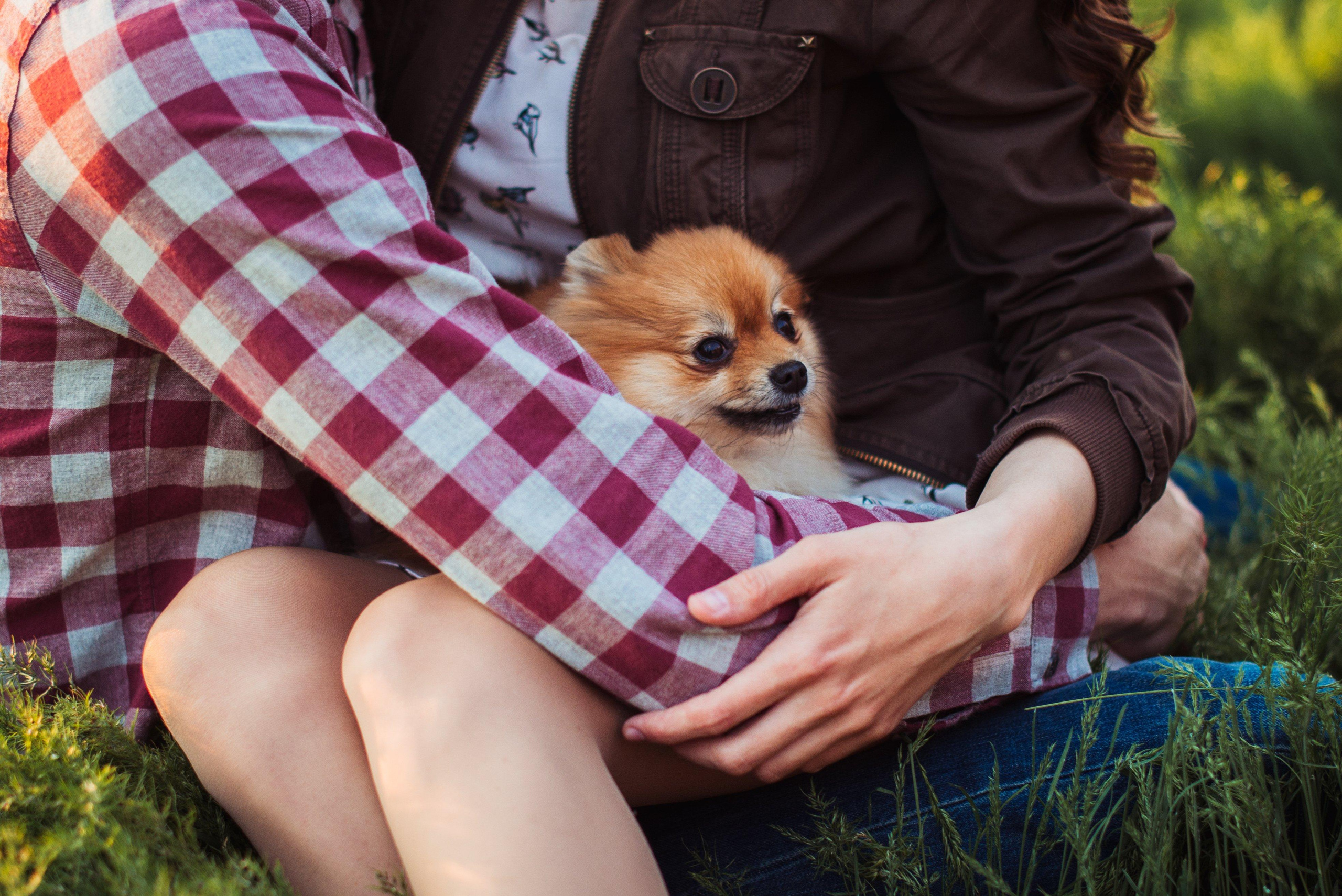 Olga & Alexander. Photographer in Interlaken area