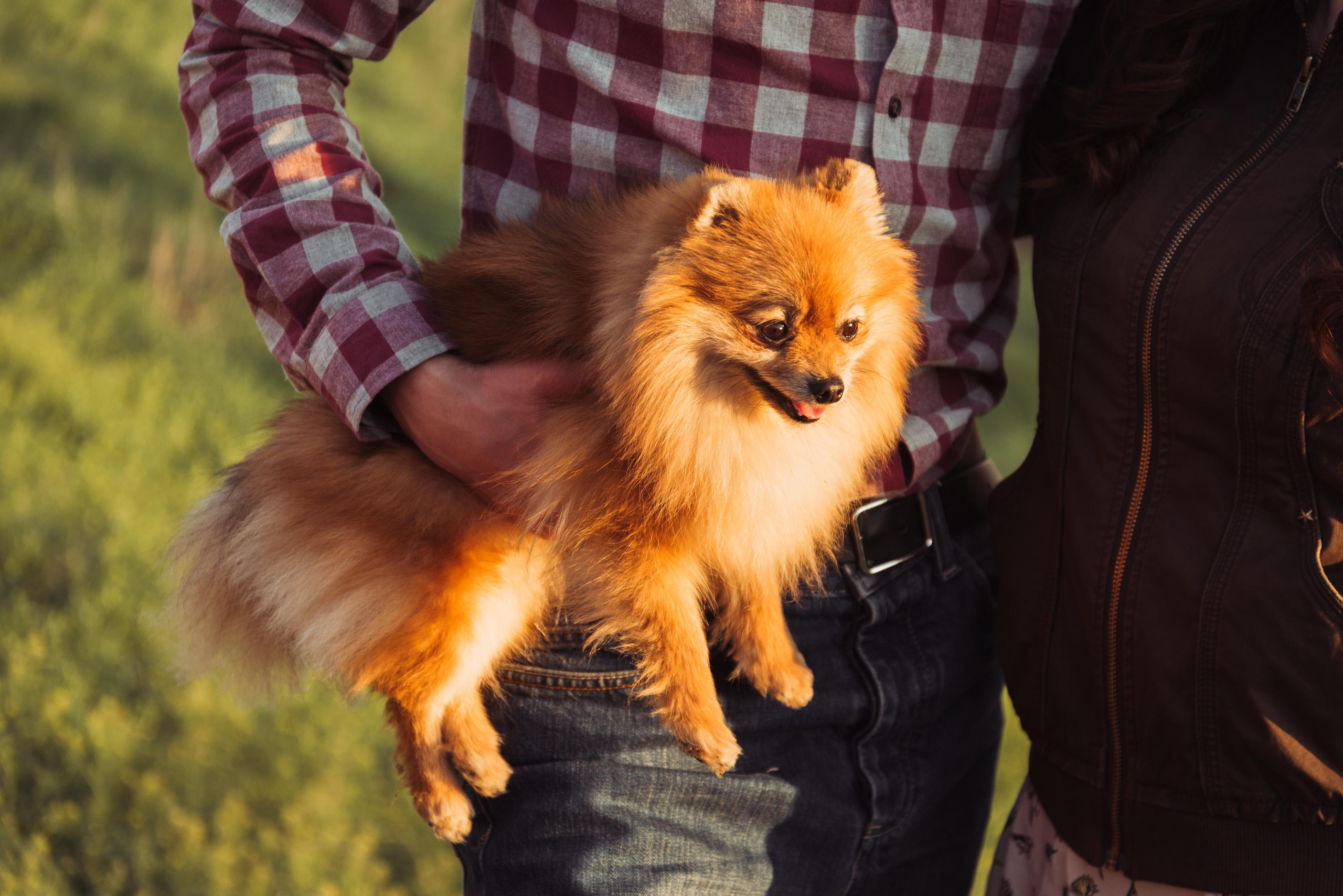 Olga & Alexander. Photographer in Interlaken area