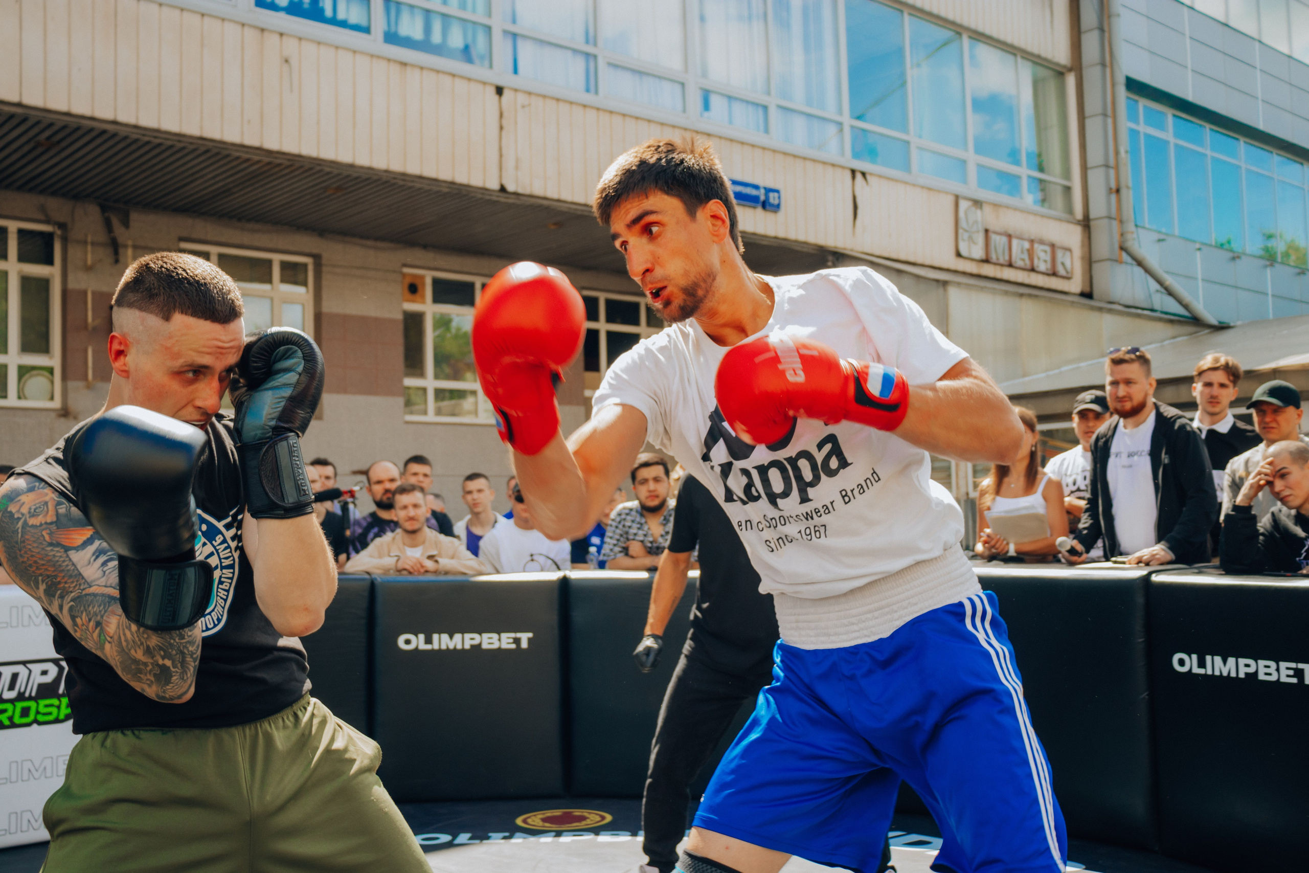 Открытый ринг. Анастасия Тен