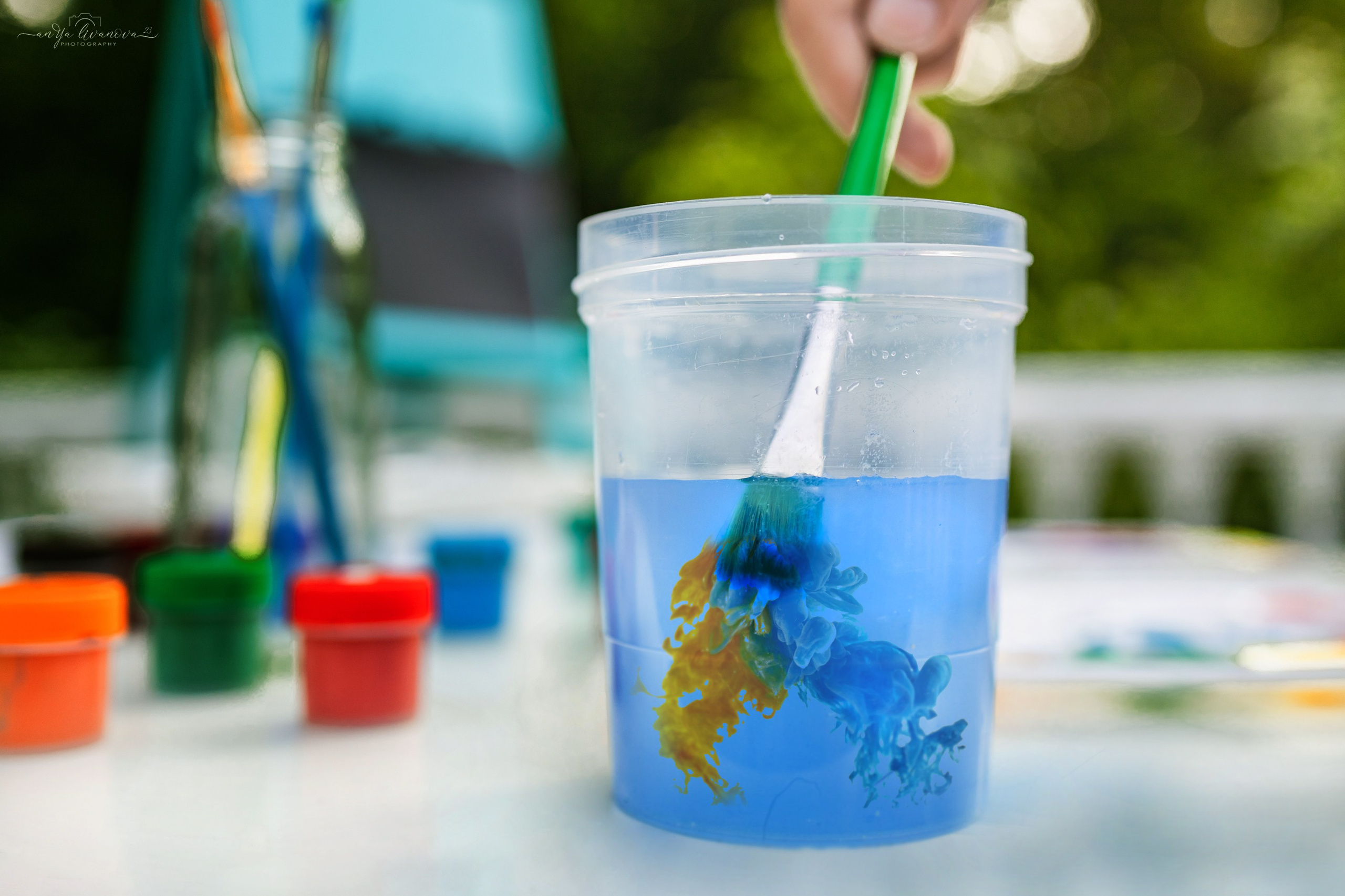 Художники…. Фотограф анималист Аня Ливанова | Рыбинск