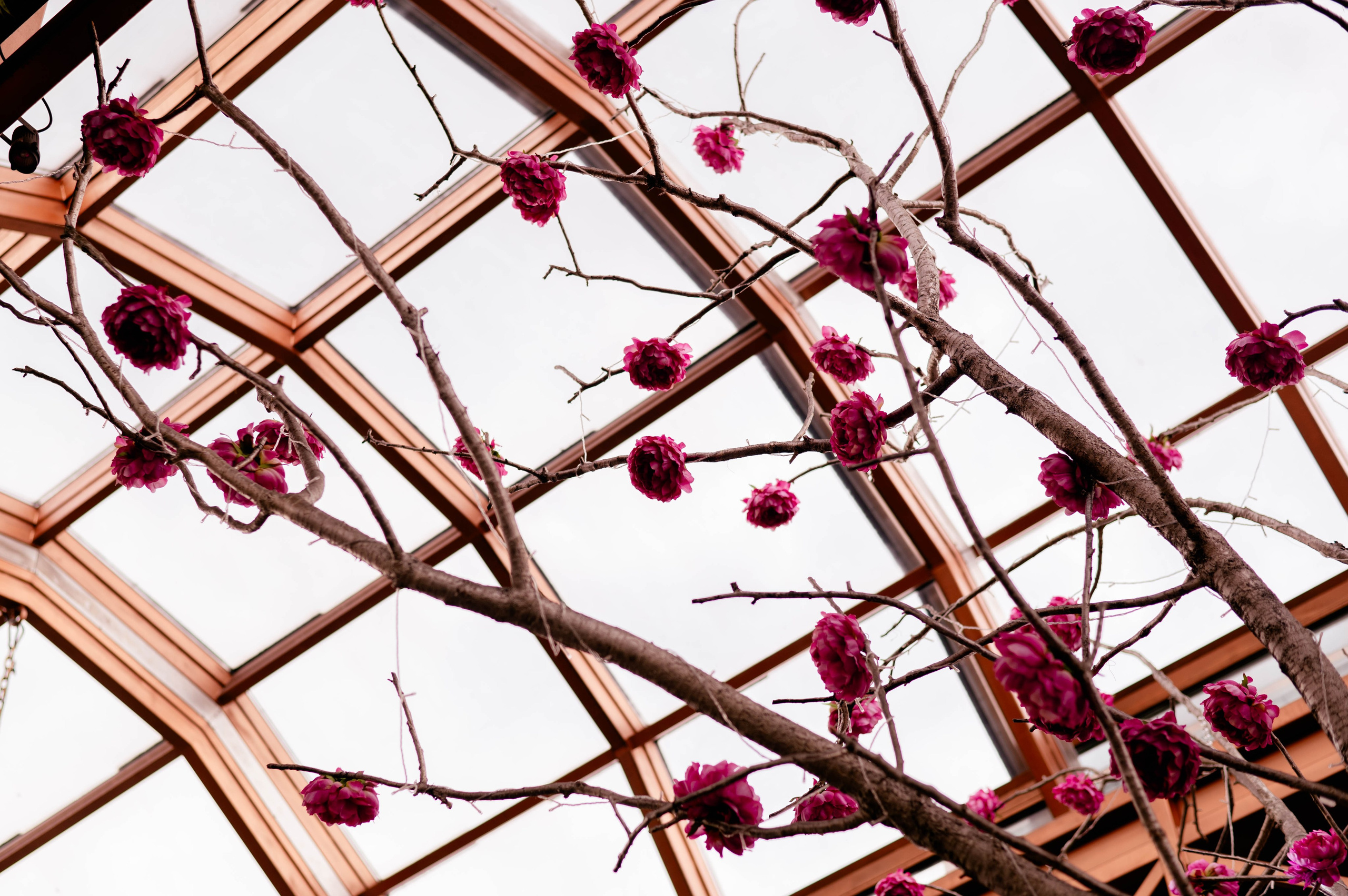 Игорь и Анна. Фотограф в Москве. Антон S