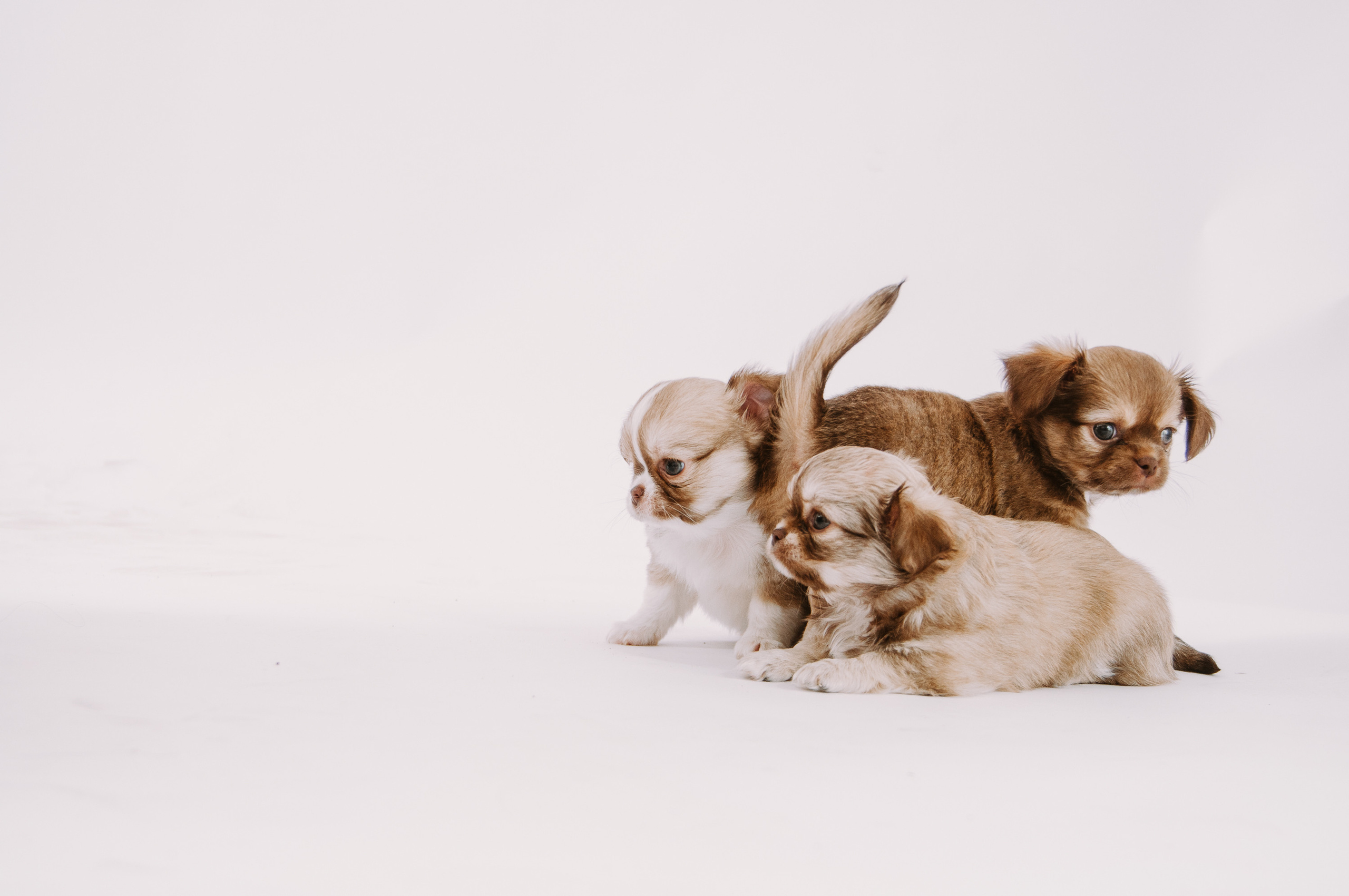 Вы обо мне. Семейный фотограф в Вышнем Волочке — Ульяна Иванова | Фотосессии для всей семьи