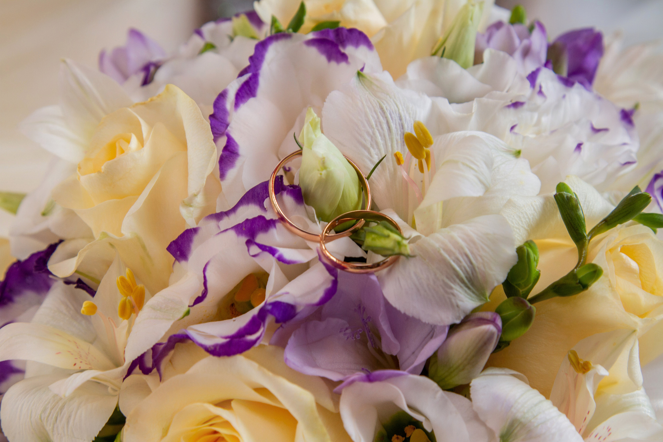 Андрей и Ксения, свадьба спортсменов. Фотограф в городе Электросталь Ногинск Москва — Алексей Закхеев