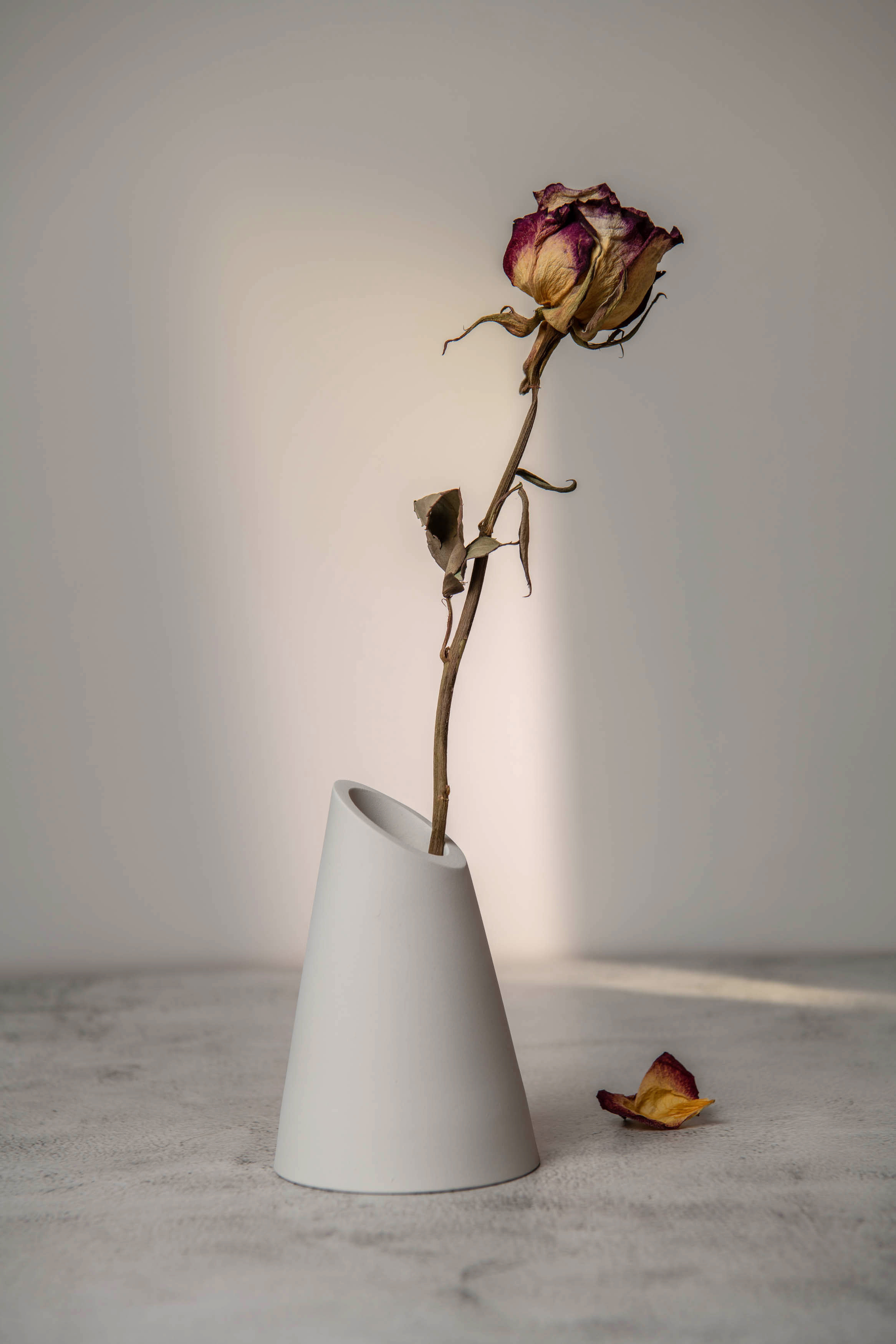 Предметка. Фотограф в городе Электросталь Ногинск Москва — Алексей Закхеев