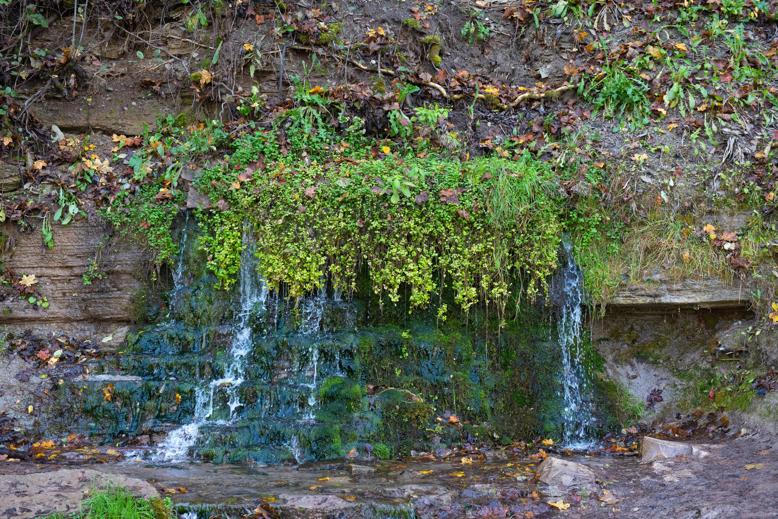 Изборск. Портретный и архитектурный фотограф в Москве и Санкт-Петербурге