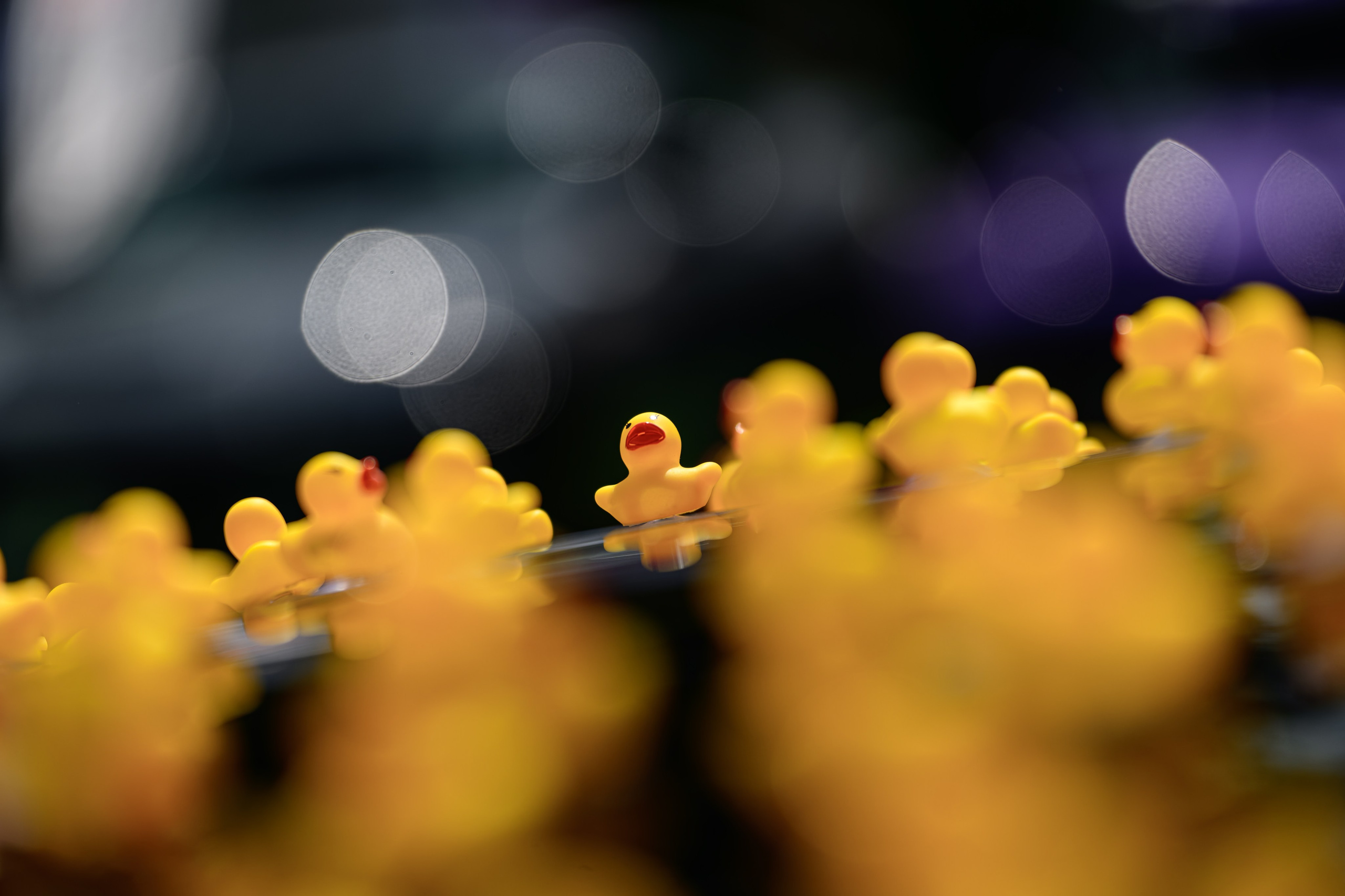 Tuning Open Fest 2025. Авто и мотоспорт — фотограф Антон Медведев iCoguar