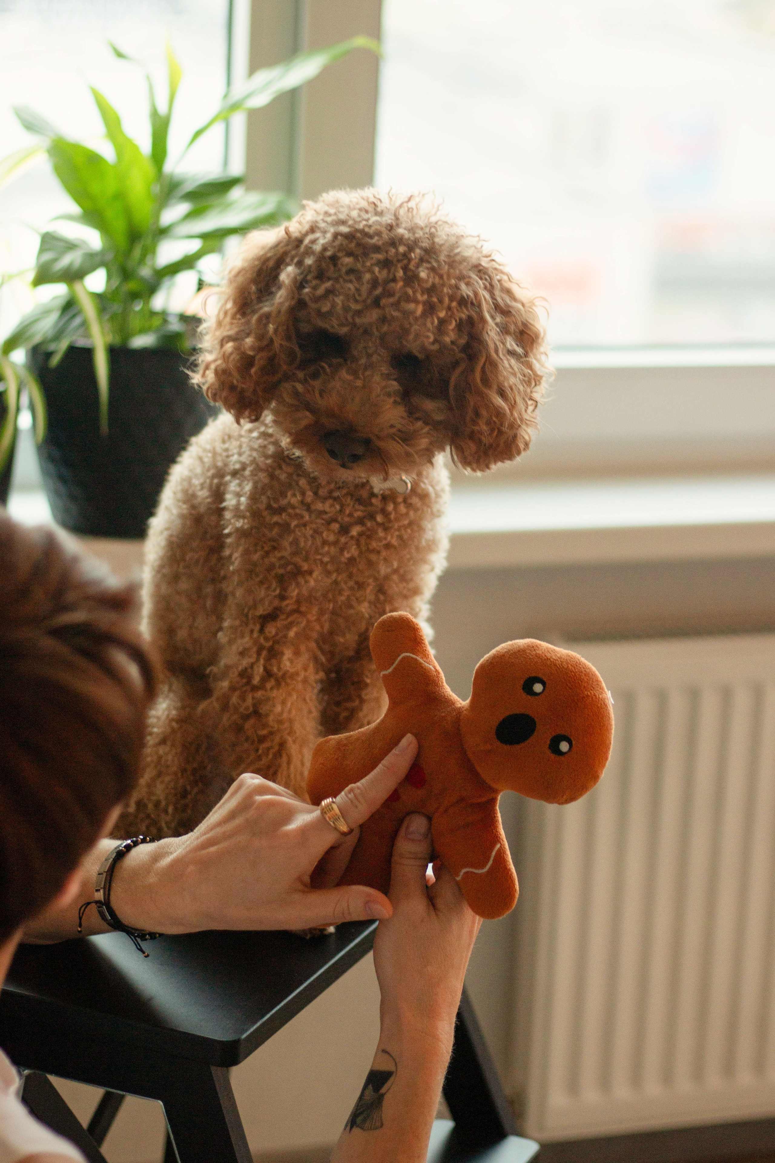 Olga & Eric. Бережно сохраняю ваши чувства и истории на своих фотографиях