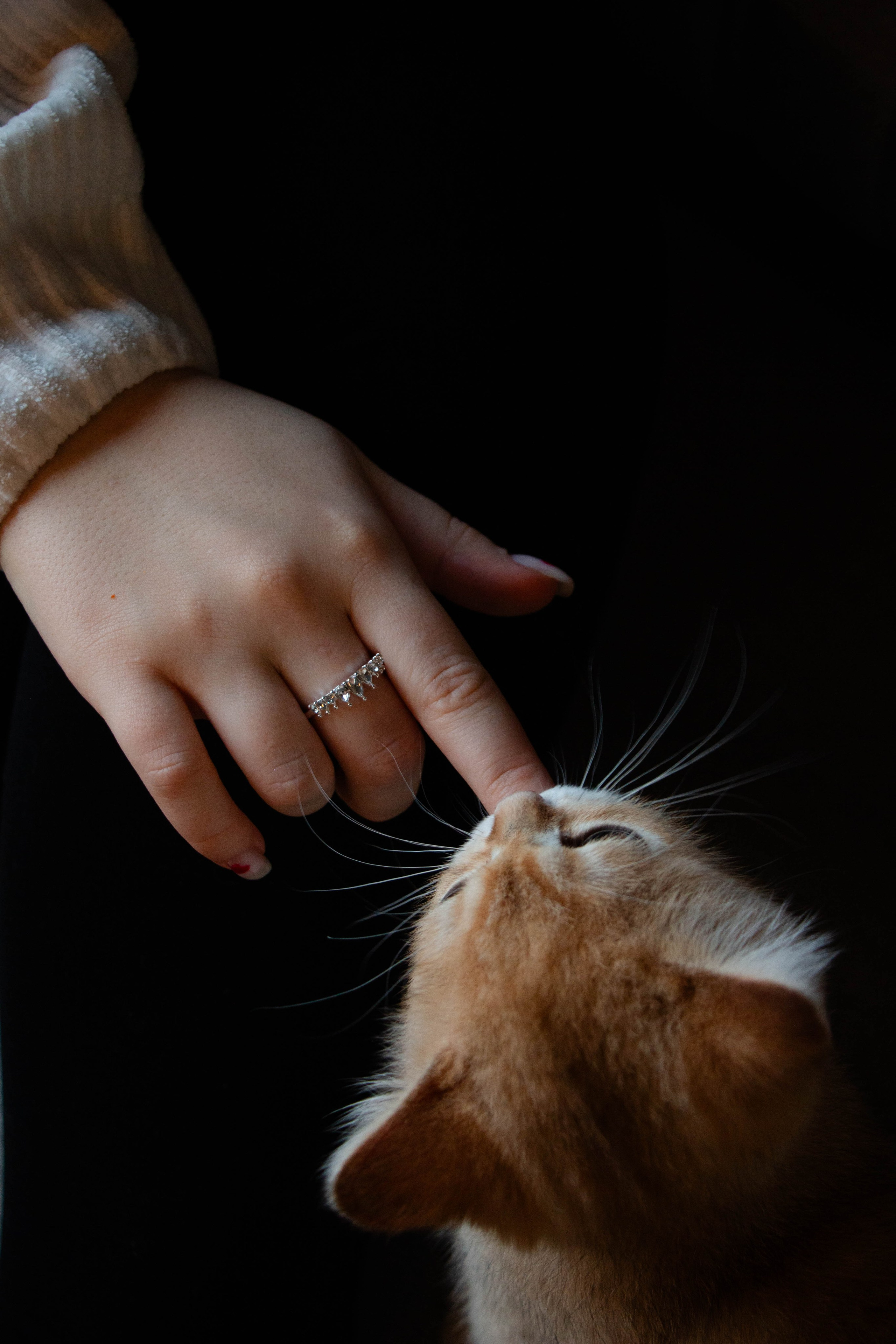 MILANA & RUFUS. Бережно сохраняю ваши чувства и истории на своих фотографиях