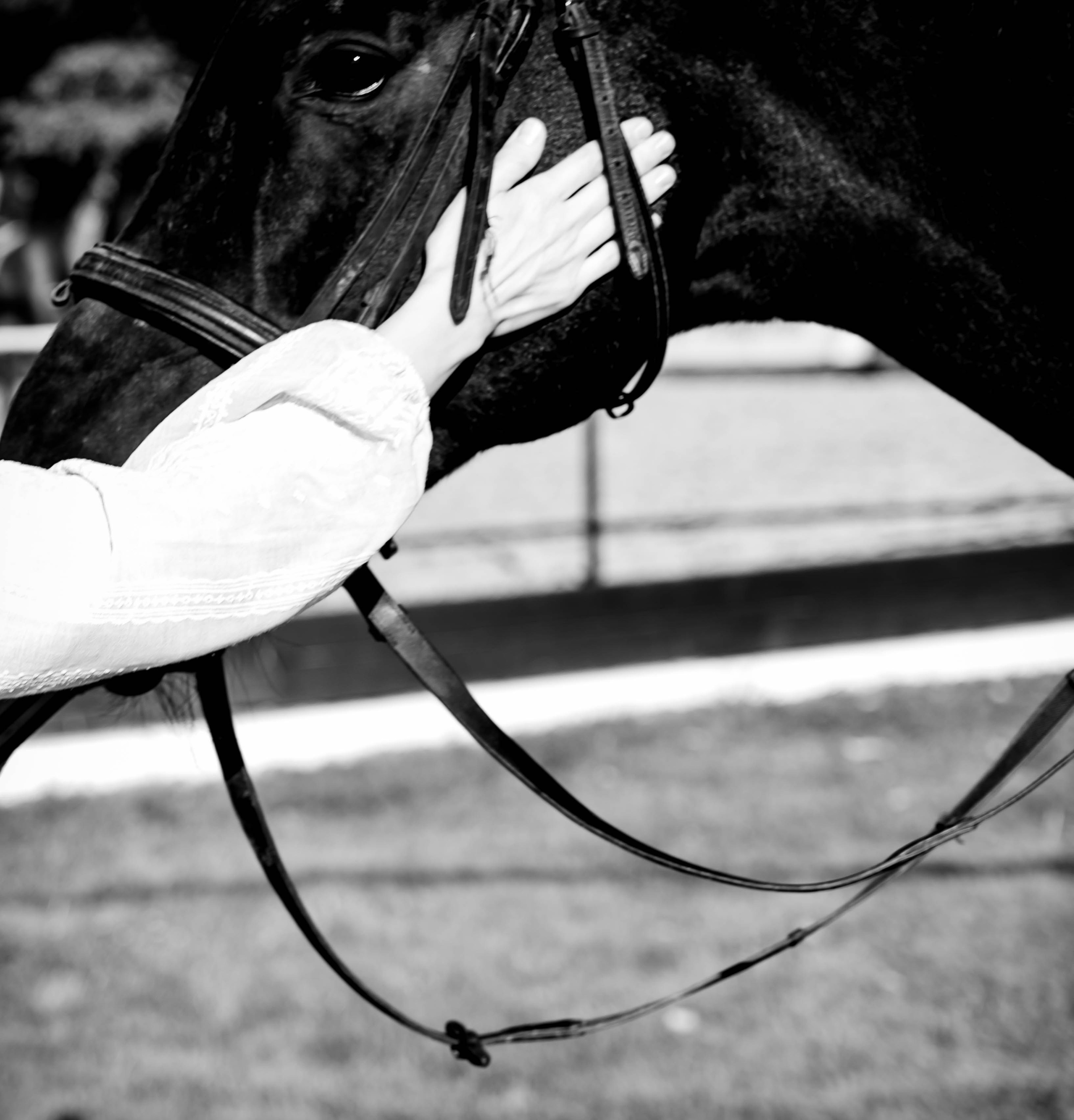 Фотосессия в честь 50-ти летия Надежды. Портретный и Фитнес фотограф в Москве Владислава Рыбалкина