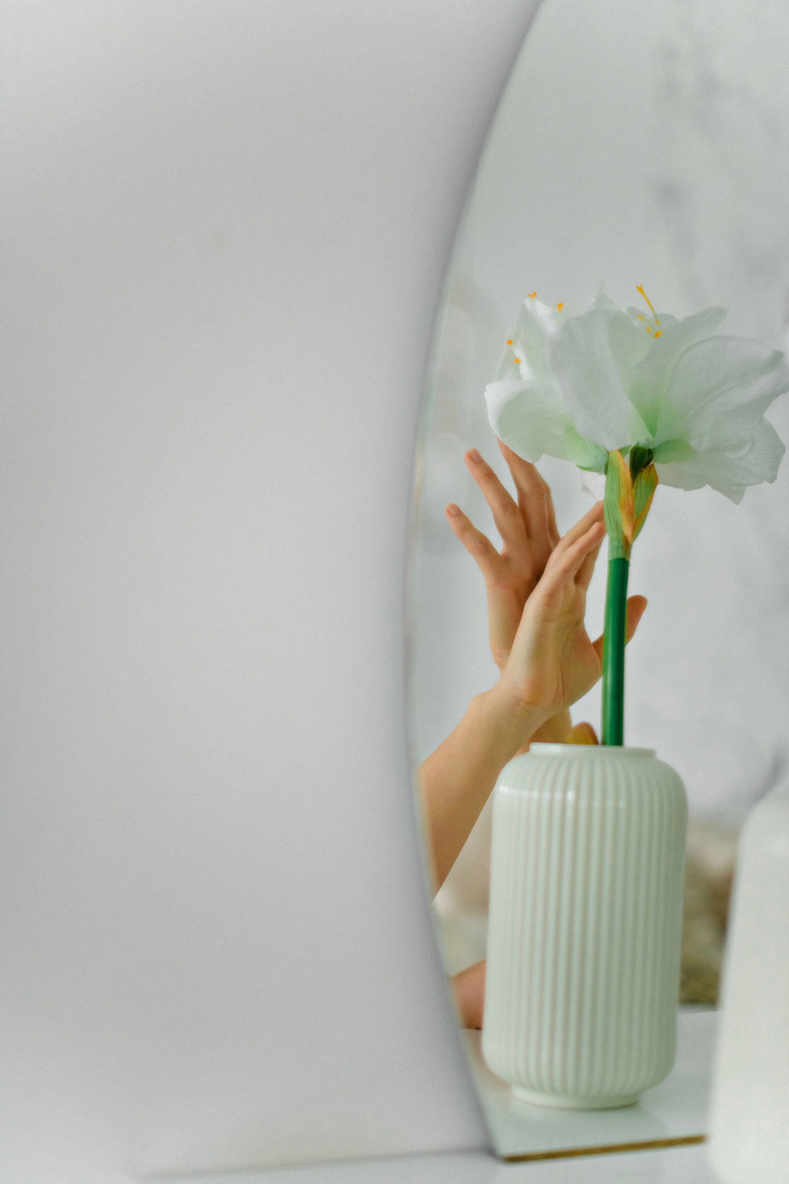 Нутрициолог. Свадебный фотограф в Санкт-Петербурге София Шубик