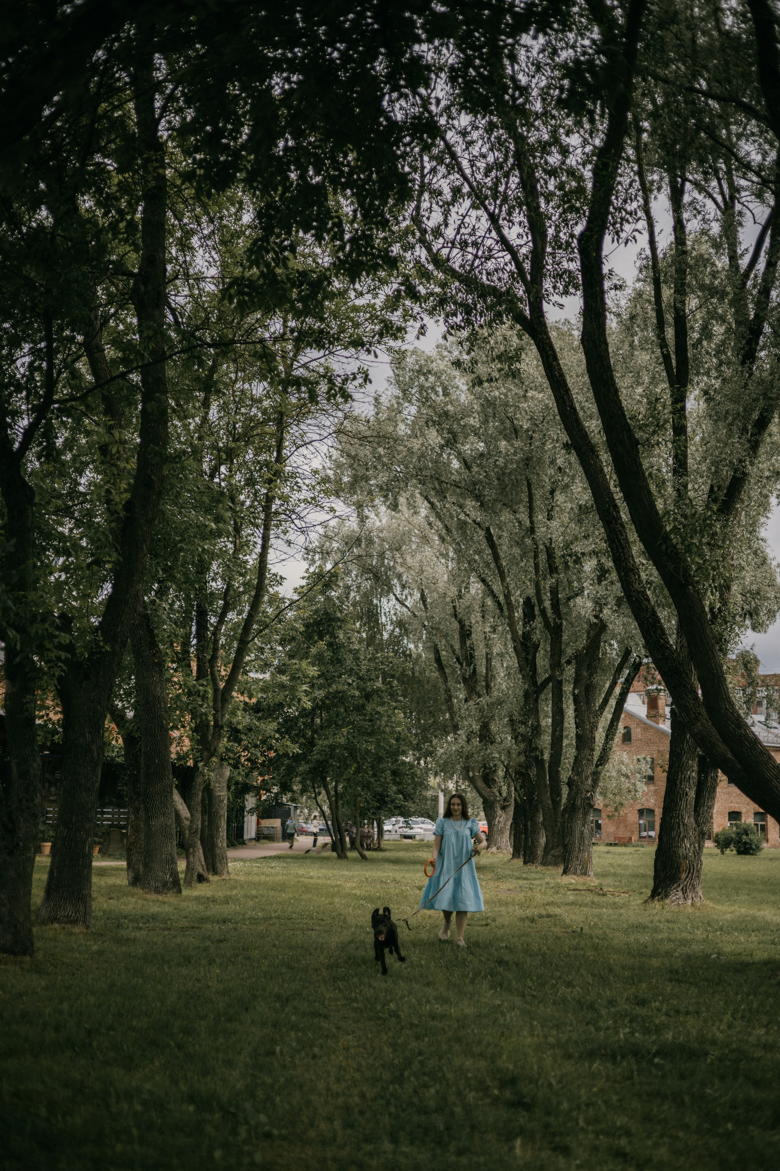 Оля и шоколадный Тимофей. Фотограф — анималист •love-story•|Санкт-Петербург