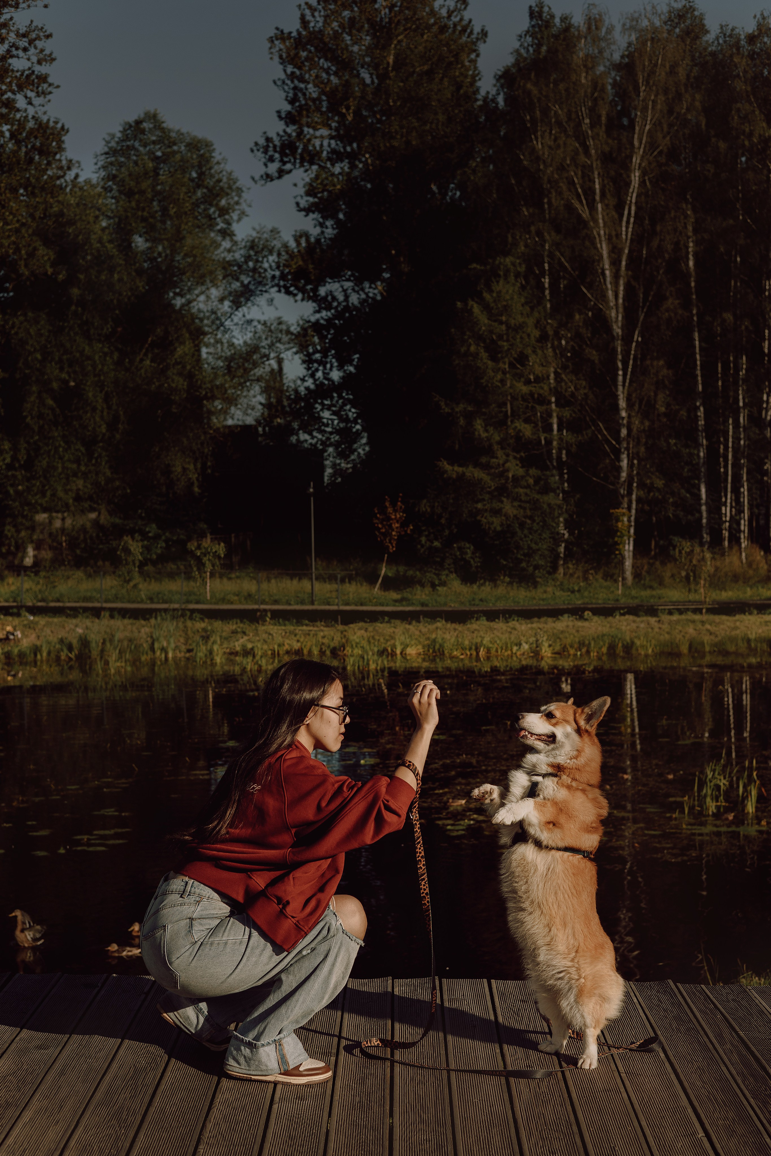 Мари & Йосик. Фотограф — анималист •love-story•|Санкт-Петербург