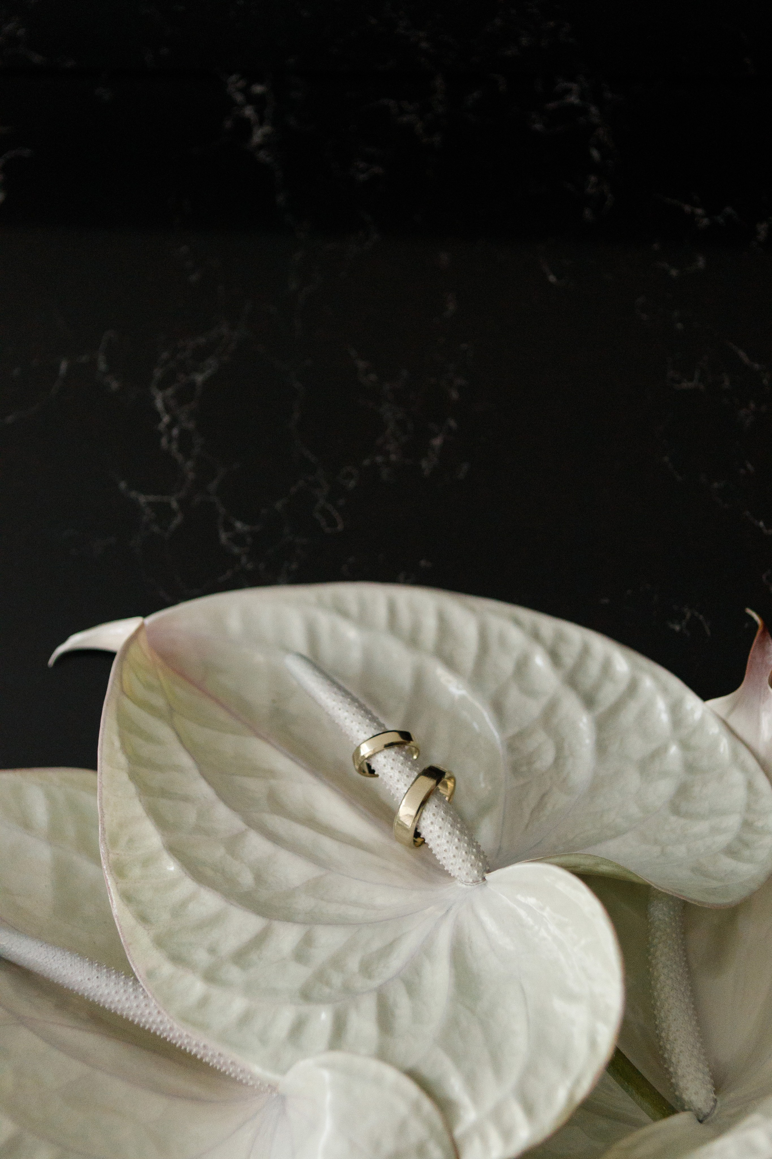 Свадебная фотосессия в Ростове-на-Дону. Свадебный фотограф Ростов на Дону / Таганрог — Усачева Анастасия