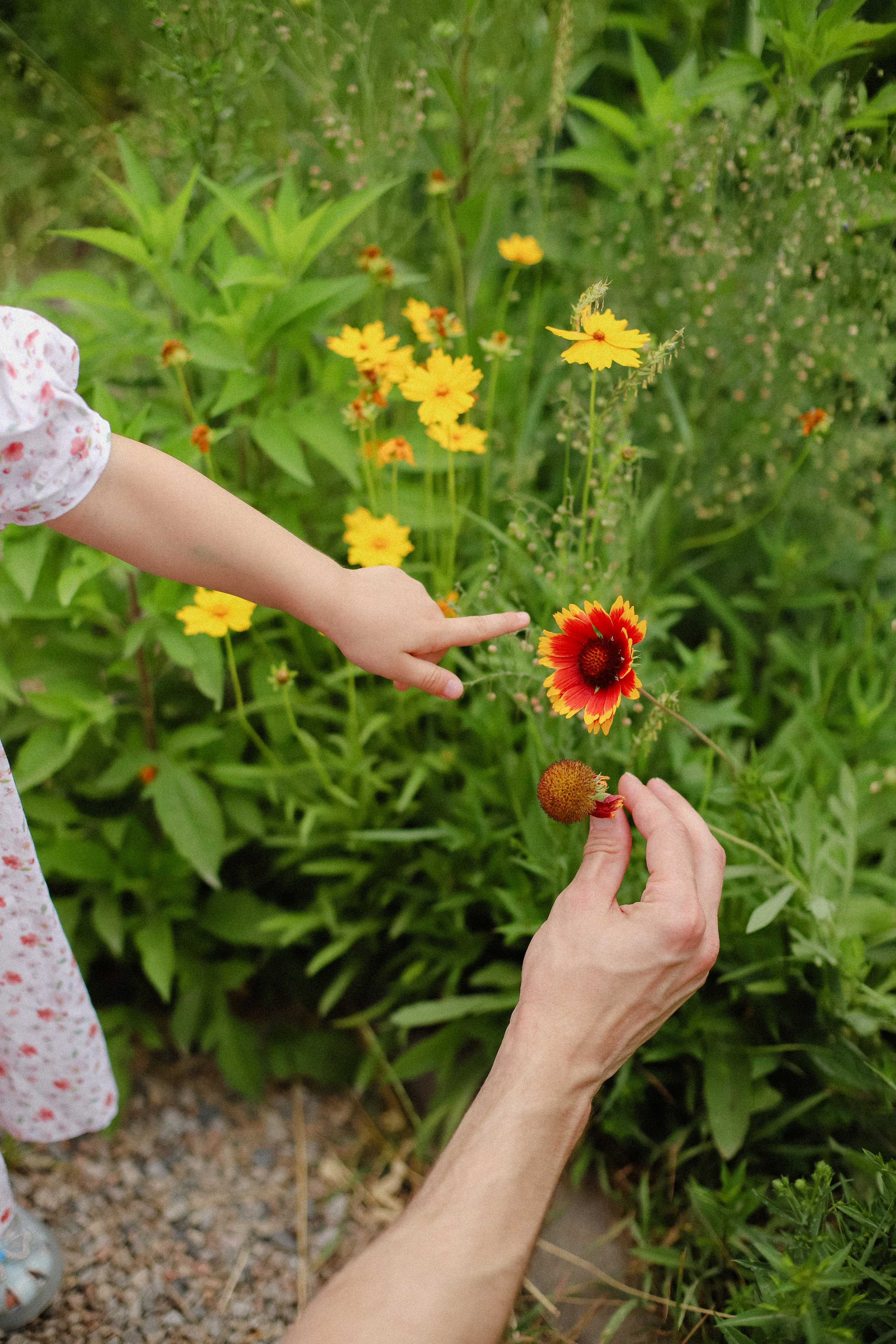 В ботсаду. Фотограф в Алматы и Москве Даша Пушкина