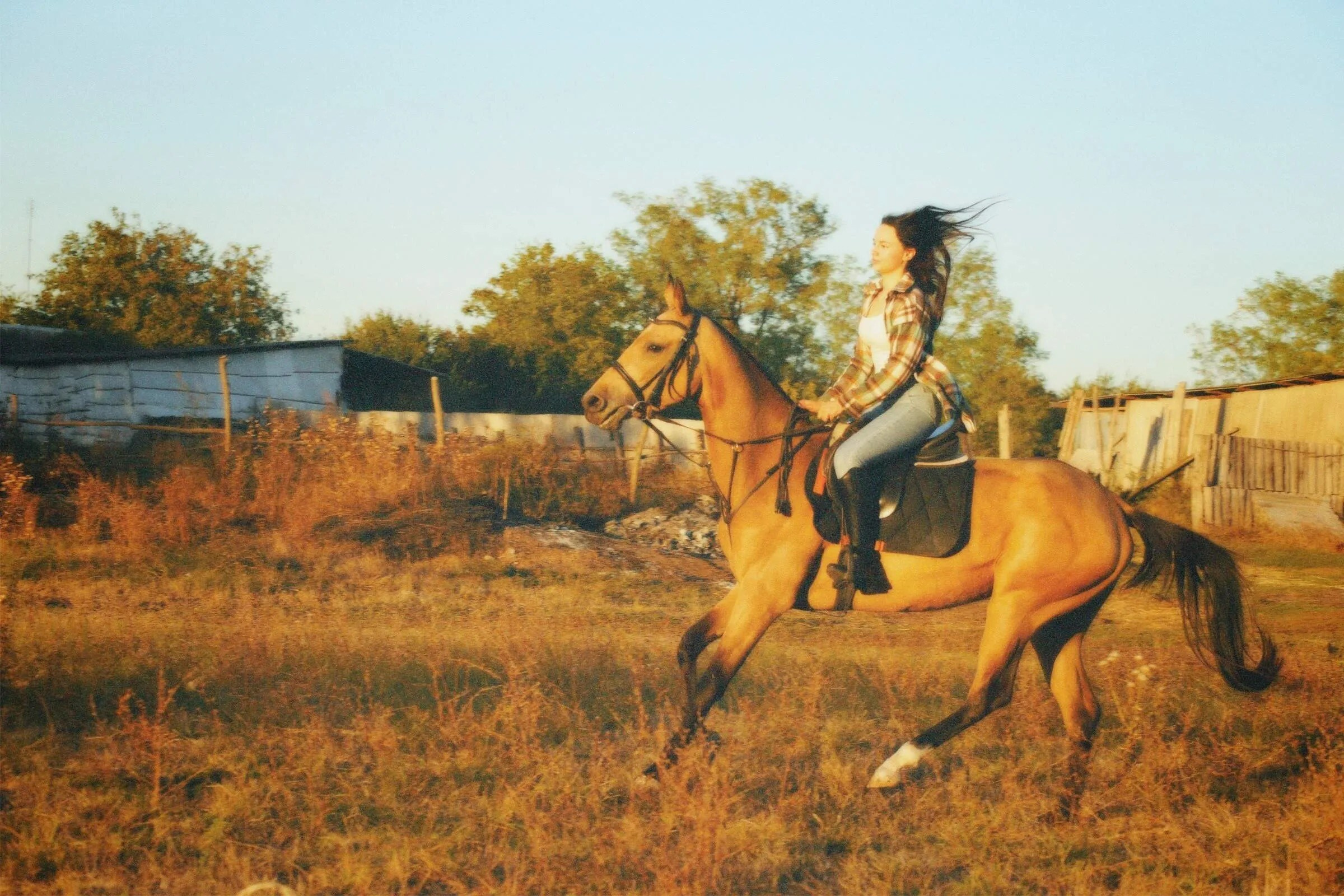 Индивидуальная фотосессия. Семейный и Свадебный фотограф Алиса Малиева