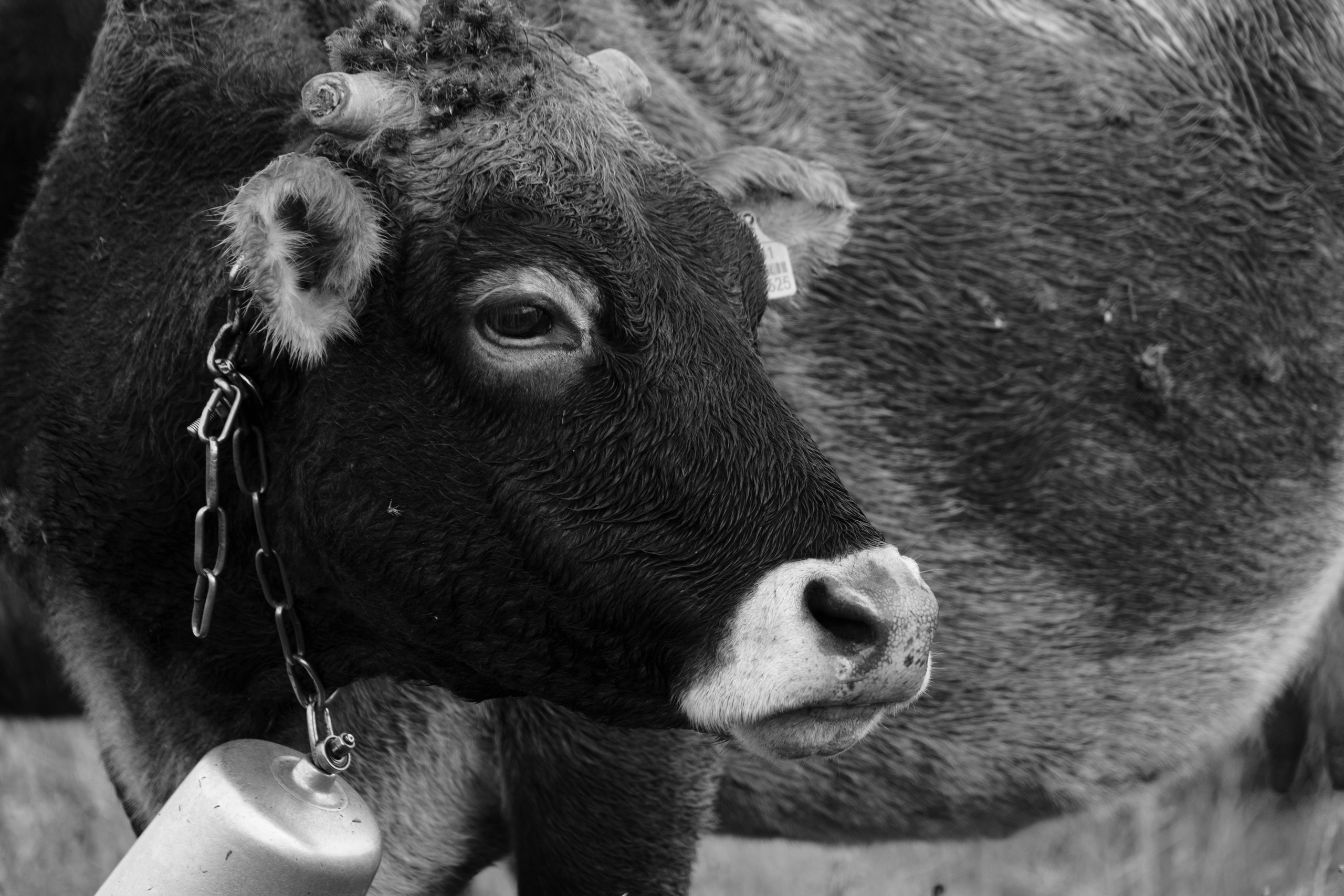 Бекстейдж сьемки кино. Профессиональная съемка в Алматы