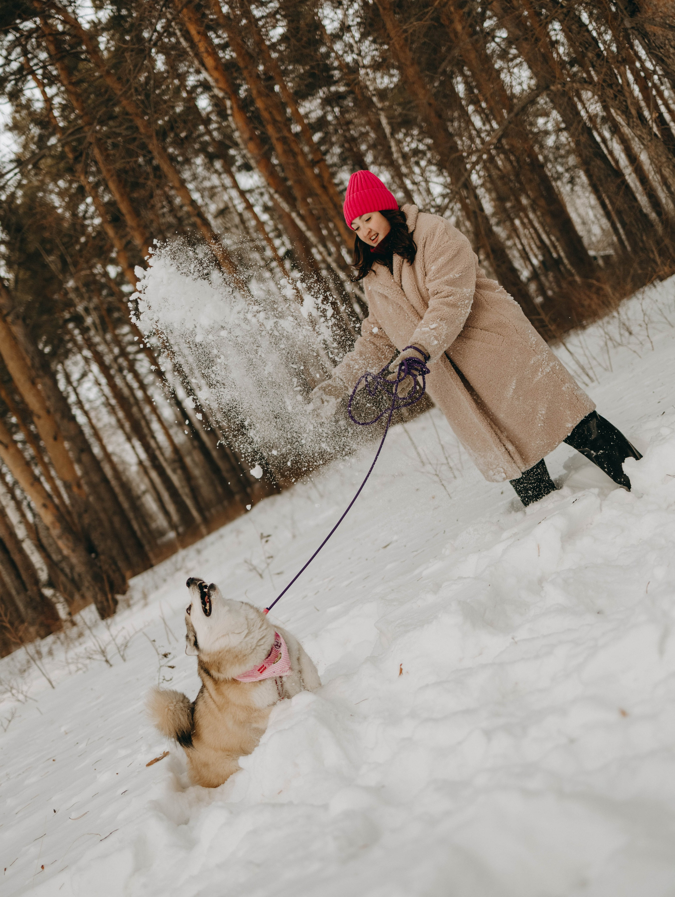Варвара и Шелби. Фотограф-анималист в Екатеринбурге | Кристина