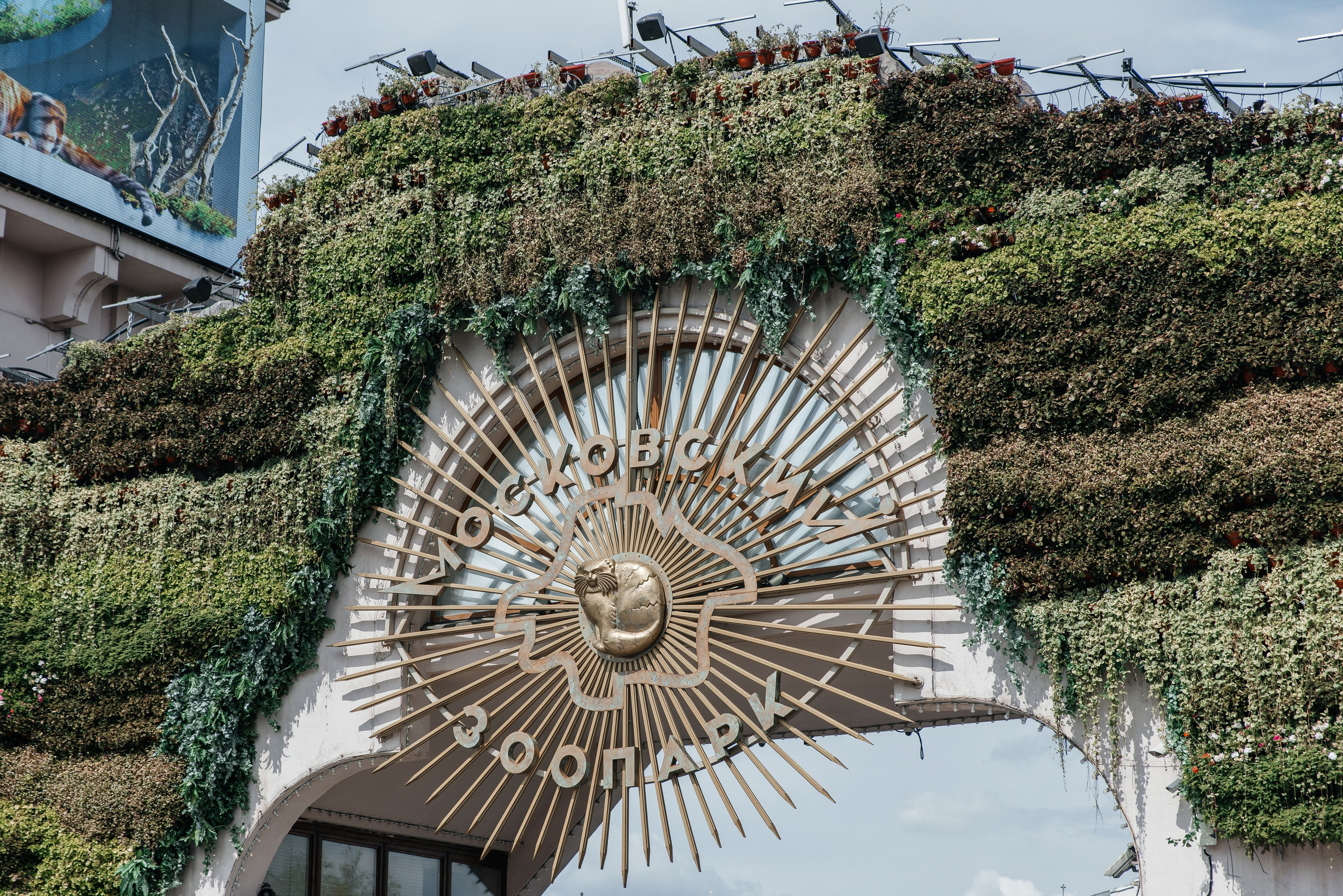 Анастасия и Никита| Зоопарк. Фотограф Москва Шептаев Артём