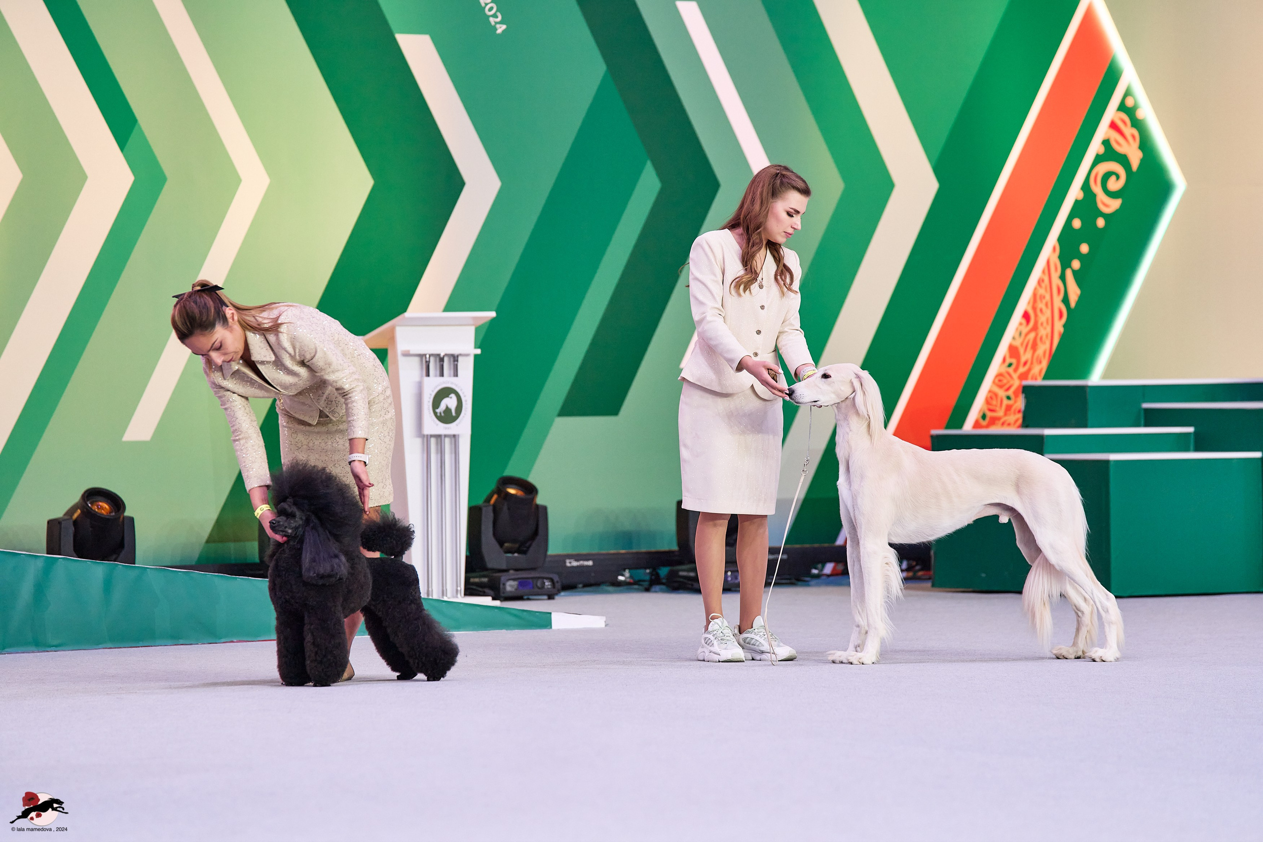 17.11.2024 «ЕВРАЗИЯ. КУБОК СНГ 2024»