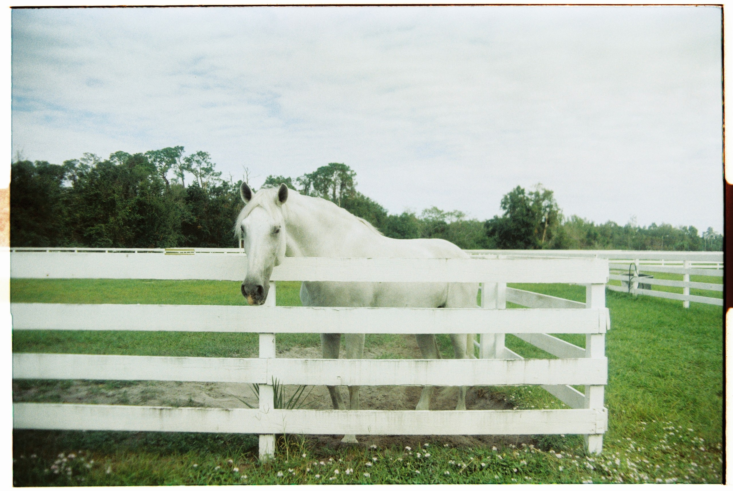 Florida. Егор Фотобрат — Портретный фотограф теперь в Ташкенте