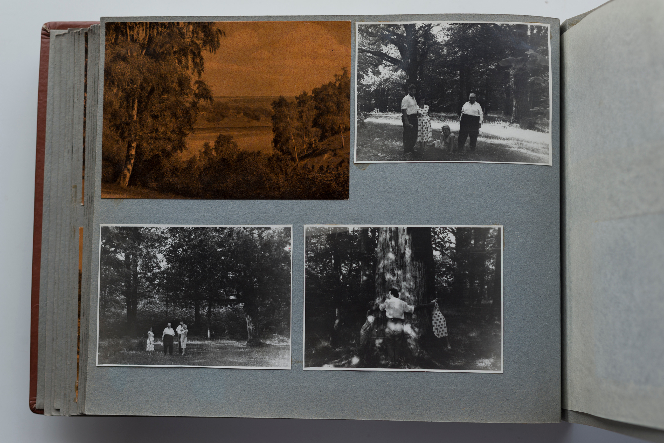 Альбом о путешествиях по Волге и Камчатке, 70-е. Plechinta Ekaterina documentary photographer