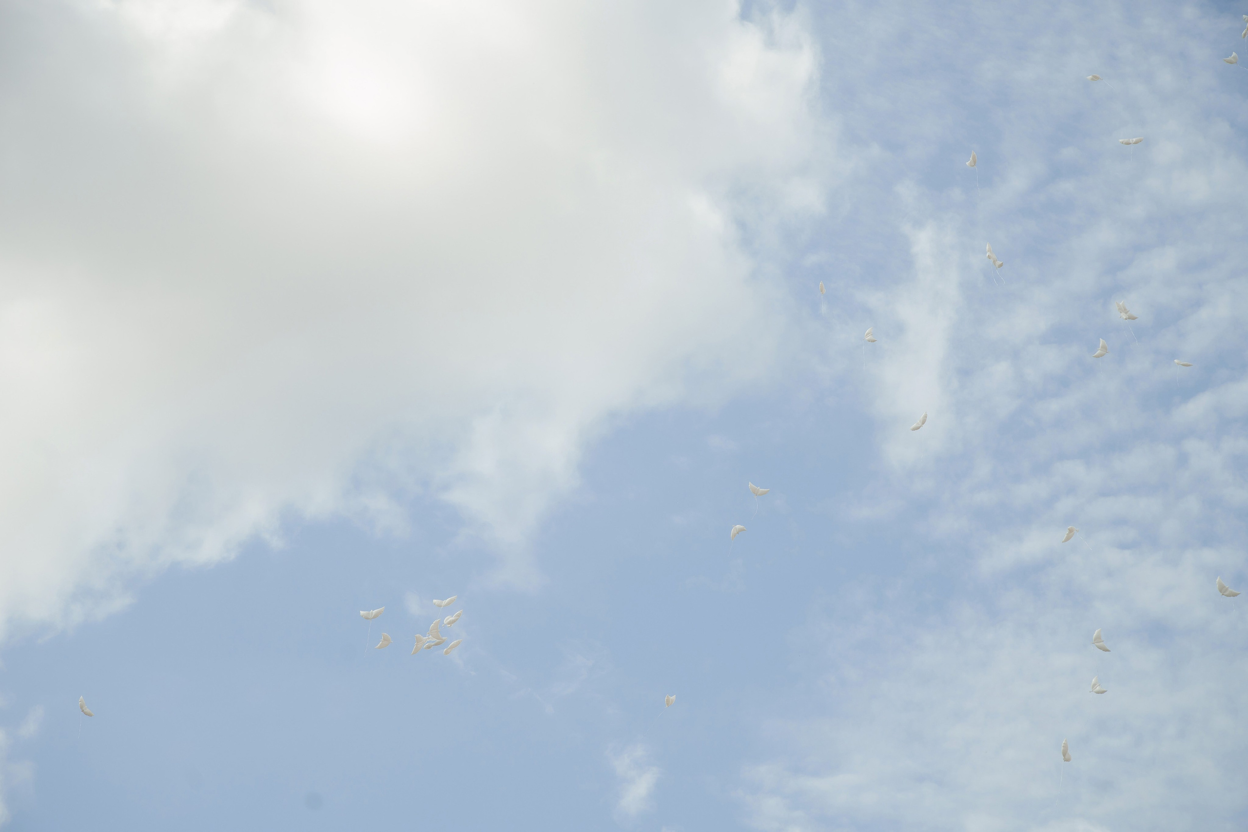 Выпускной лицей КЭО. Фотограф Олег Сотник