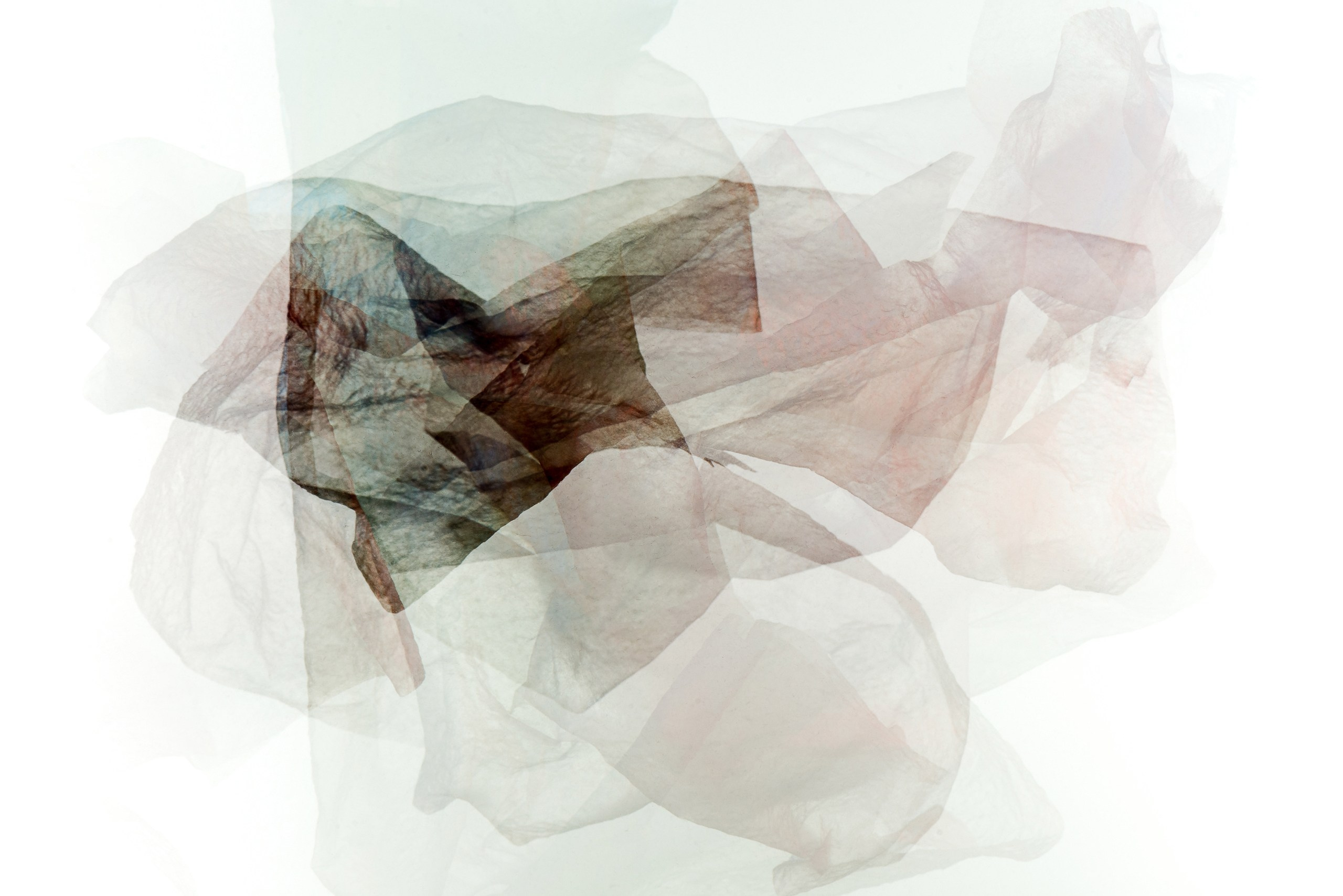 Бумага в воде. Скульптуры из воды Сергея Толмачева