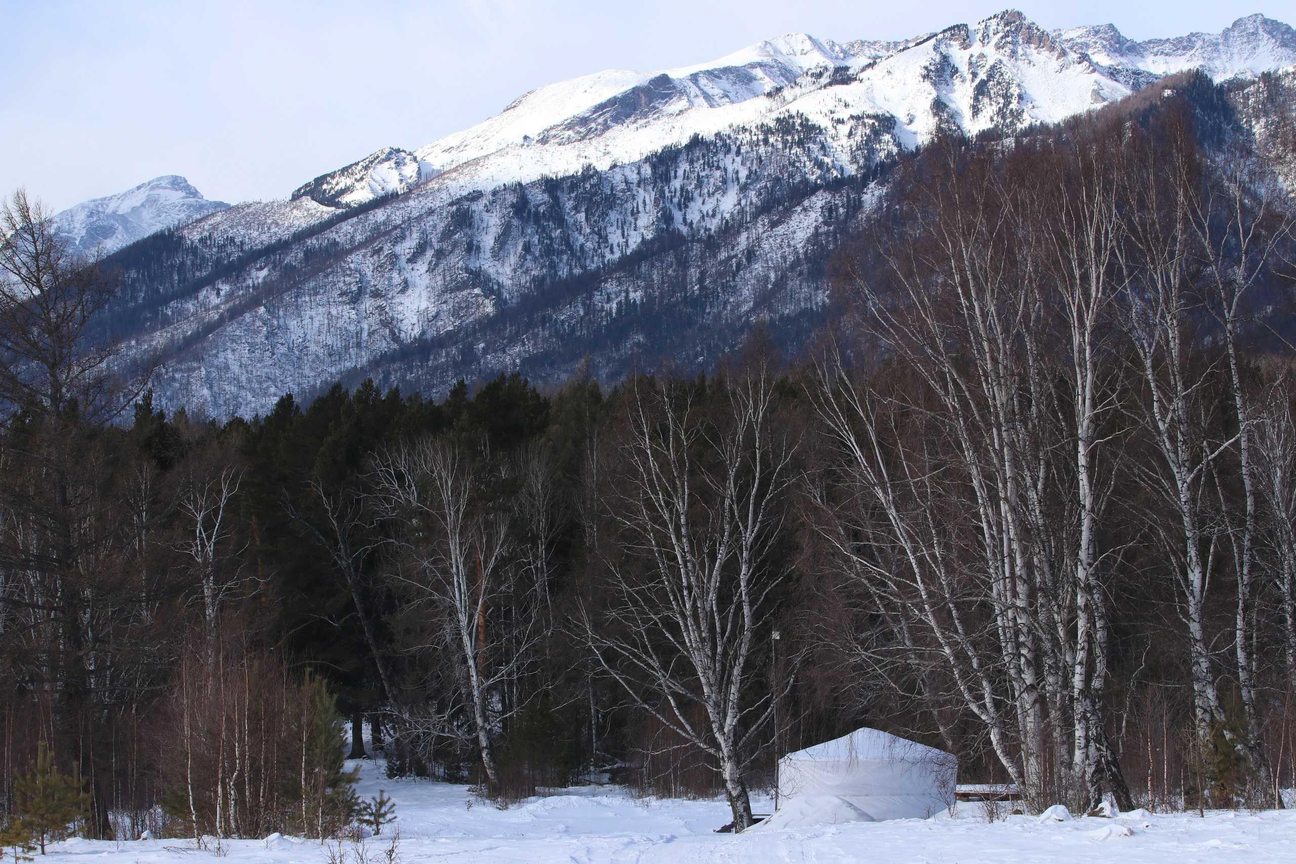 Аршан. Февраль 2025. Путешественник-фотограф из Санкт-Петербурга Татьяна Свистулина