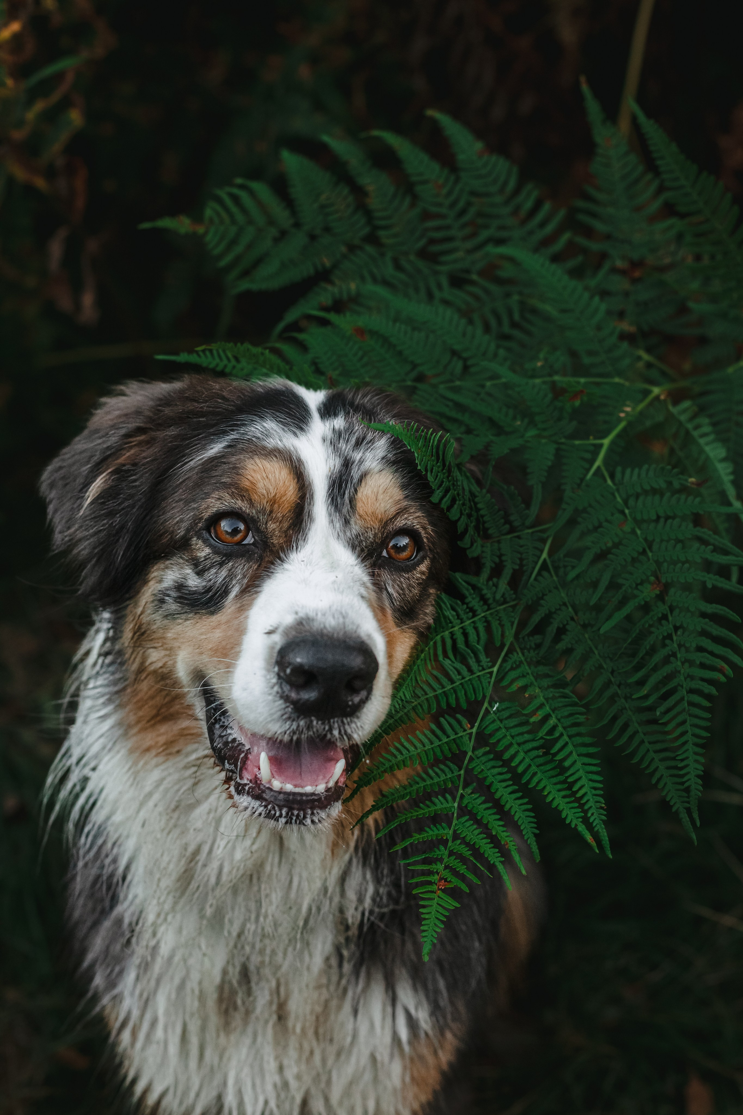 Фотопрогулка в Ленобласти. Фотограф-анималист Татьяна Степанова