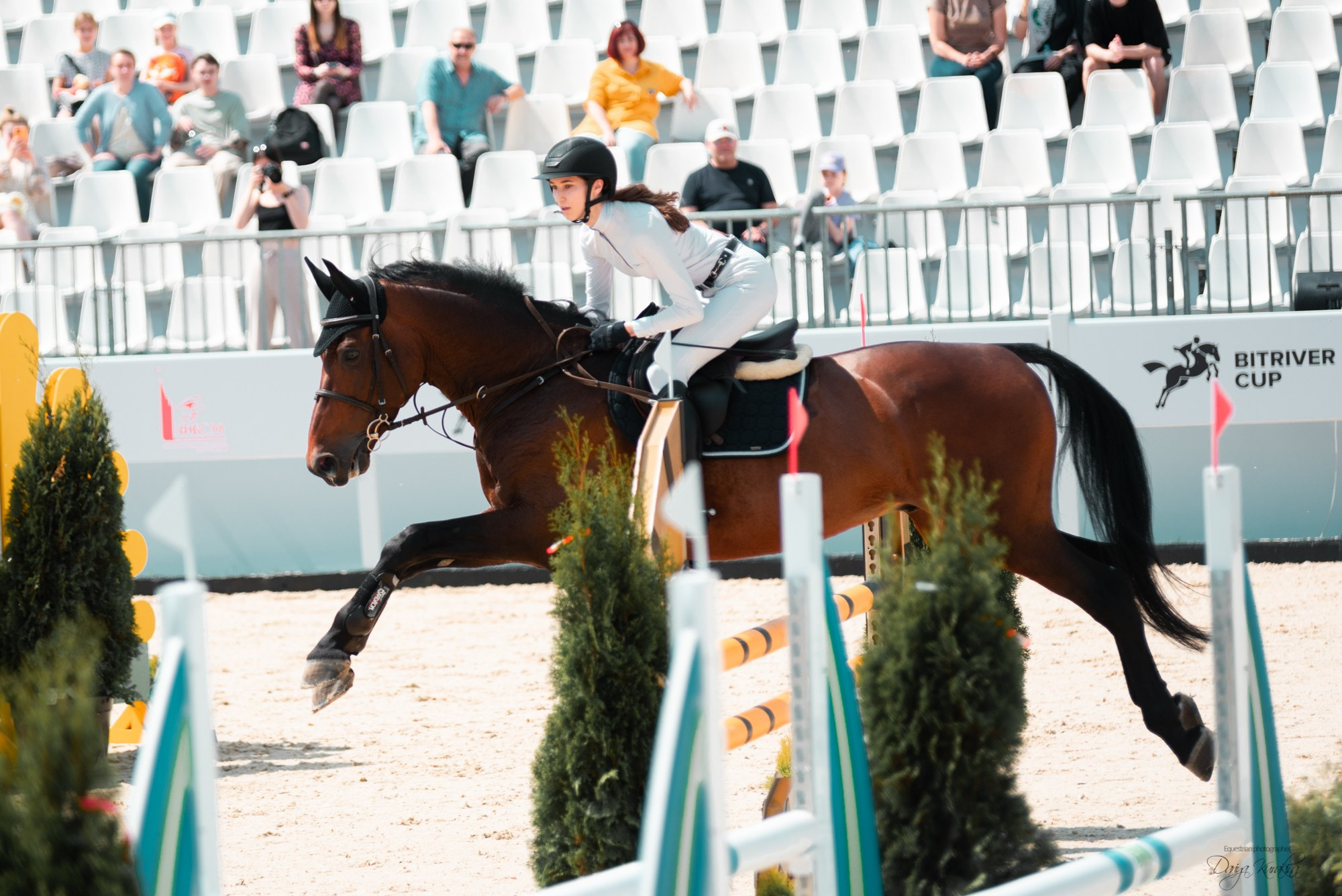 BITRIVER CUP 2023. Конный фотограф Куракина Дарья • Фотосессии с лошадьми