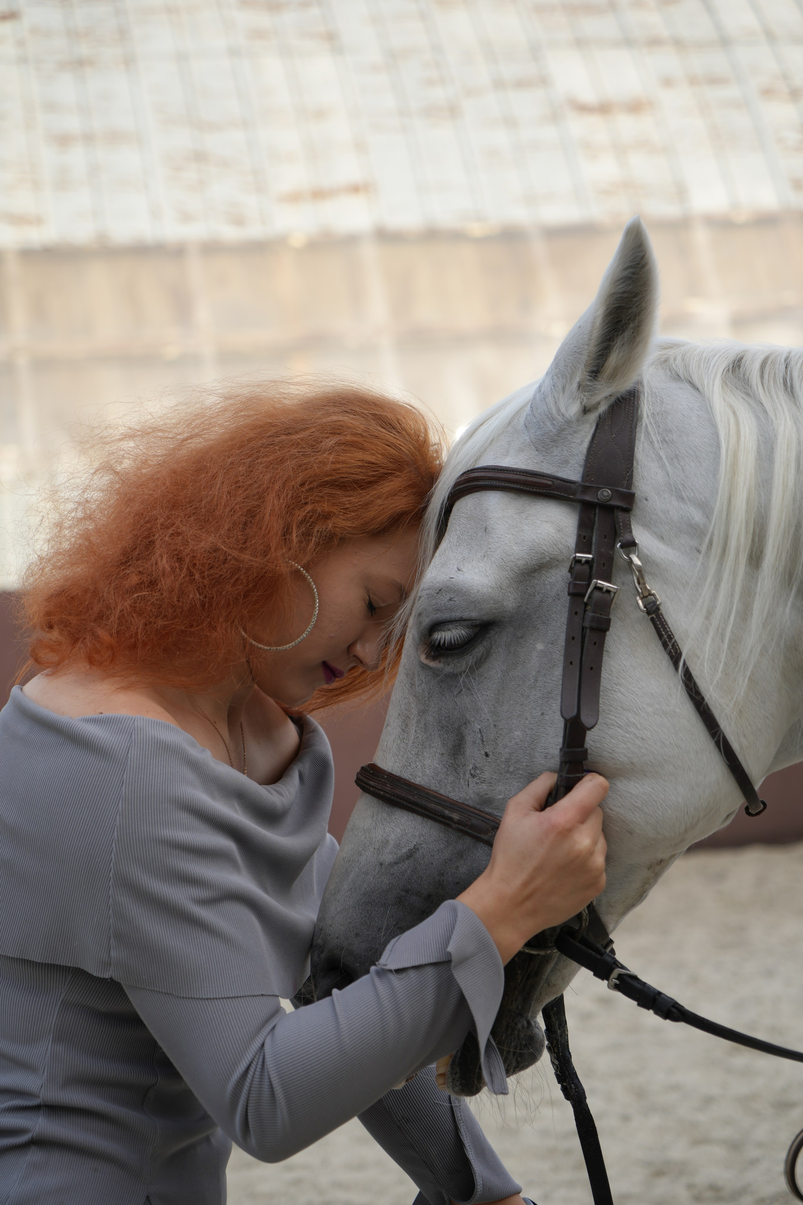 Фотосессия с лошадью. Видеограф и Фотограф в Москве