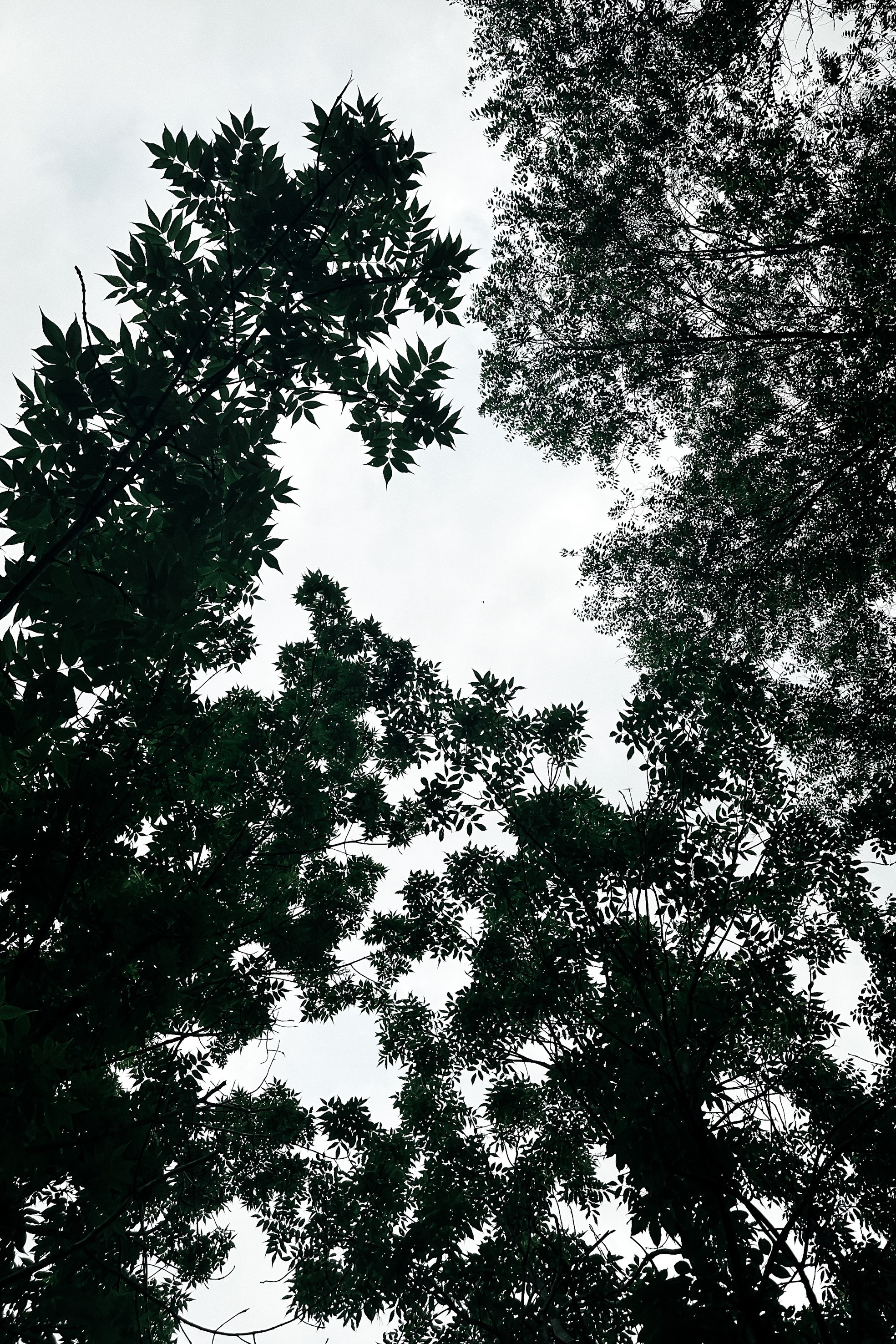 Природа. Команда фотографов Кристины Ивановой