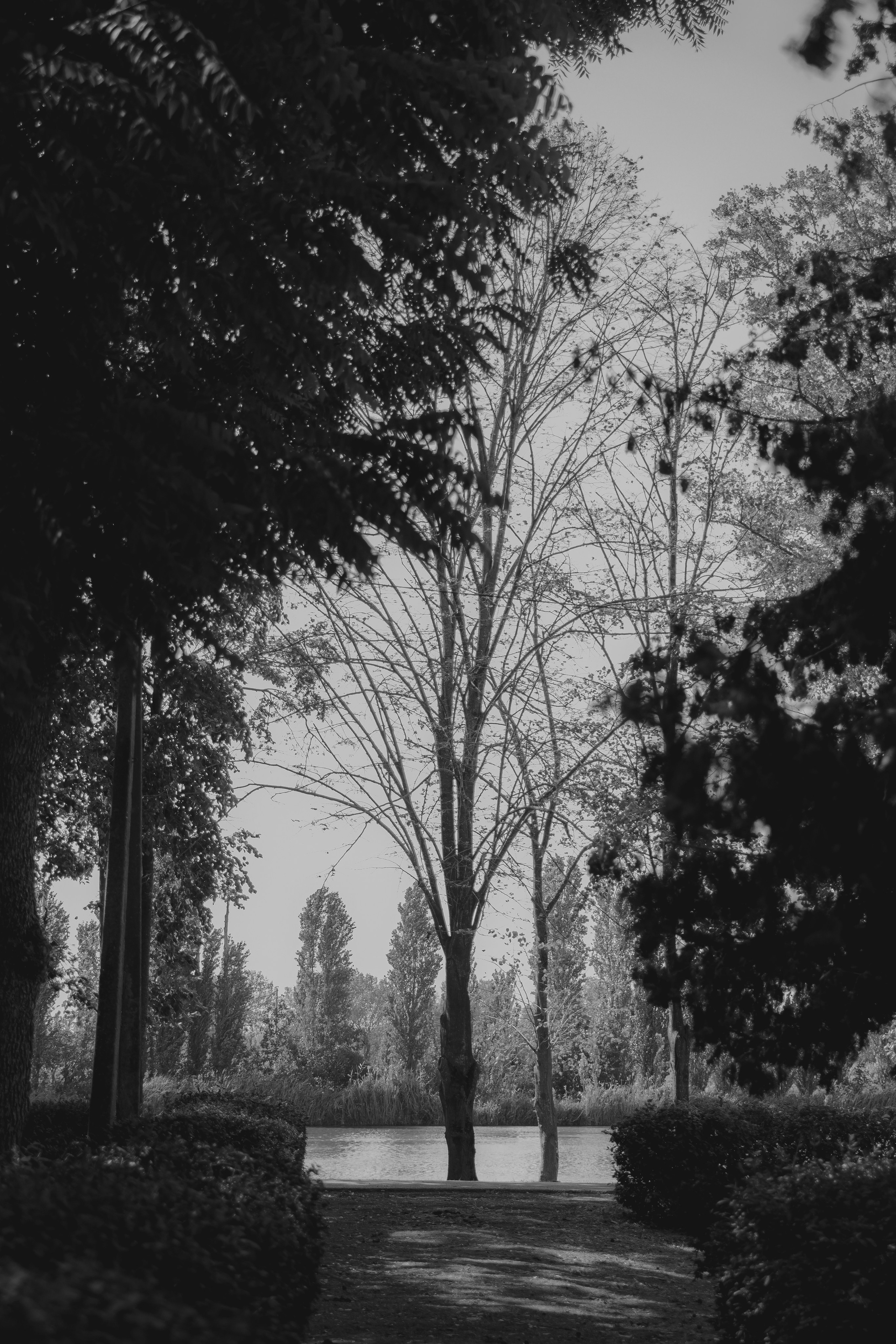 Фотограф в Брюховецком районе Сокол (Семенкова) Виктория