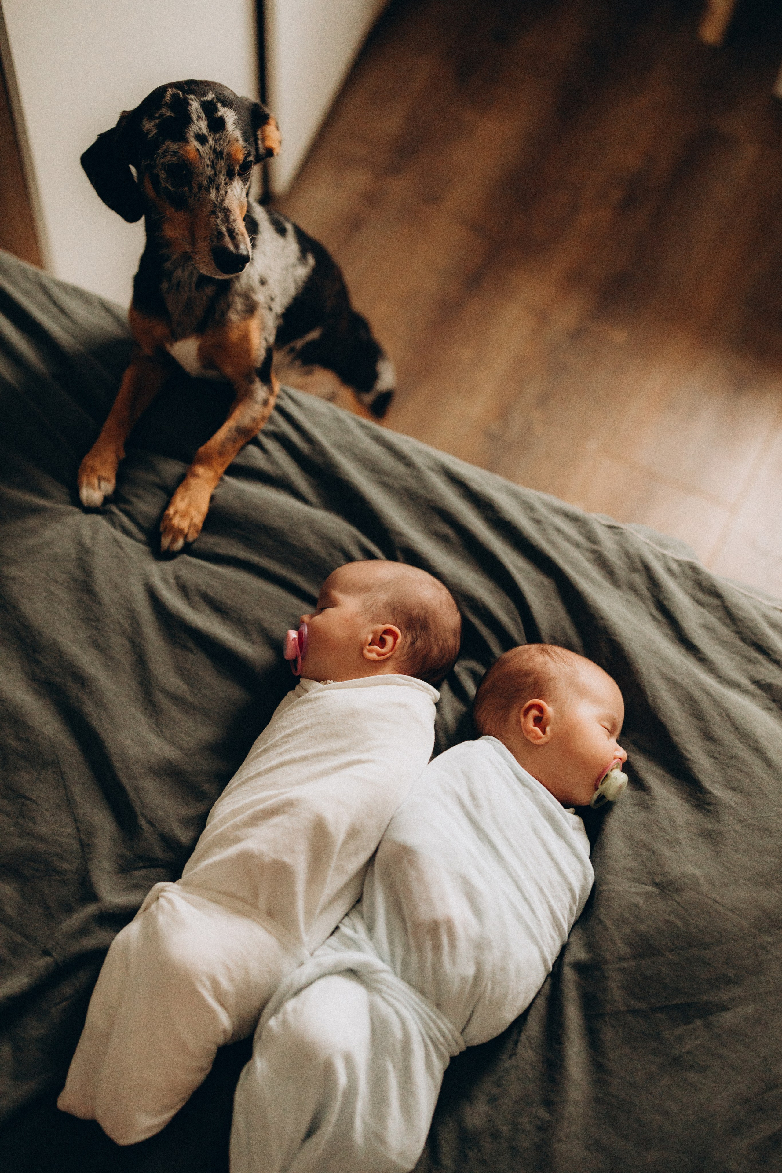 Маша и Варя 2 месяца. Евгения Пелипас