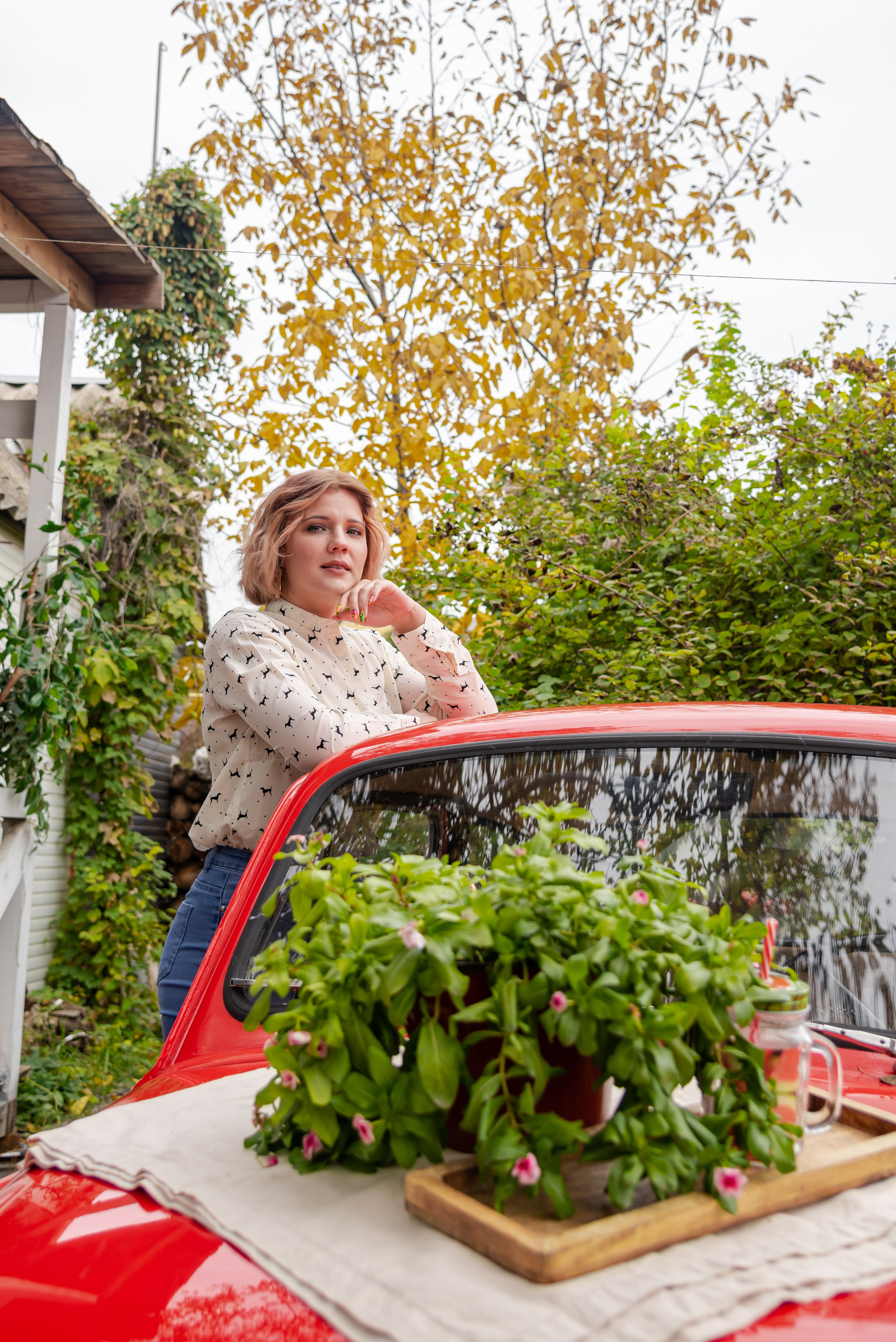 Авакадо. Фотограф Галина Нестерова