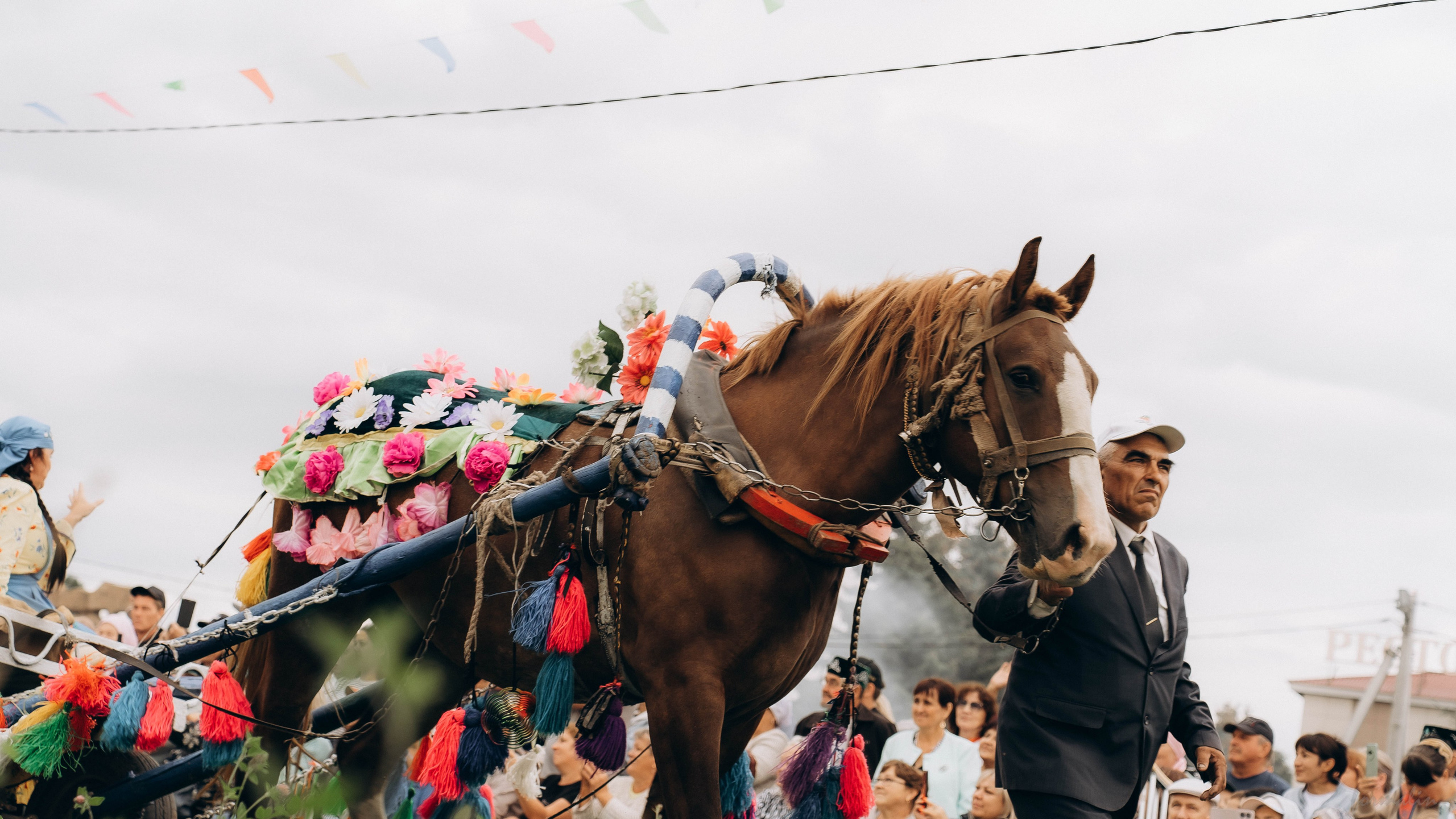 День Коня. Алиса Никитцова | Фотограф в Казани