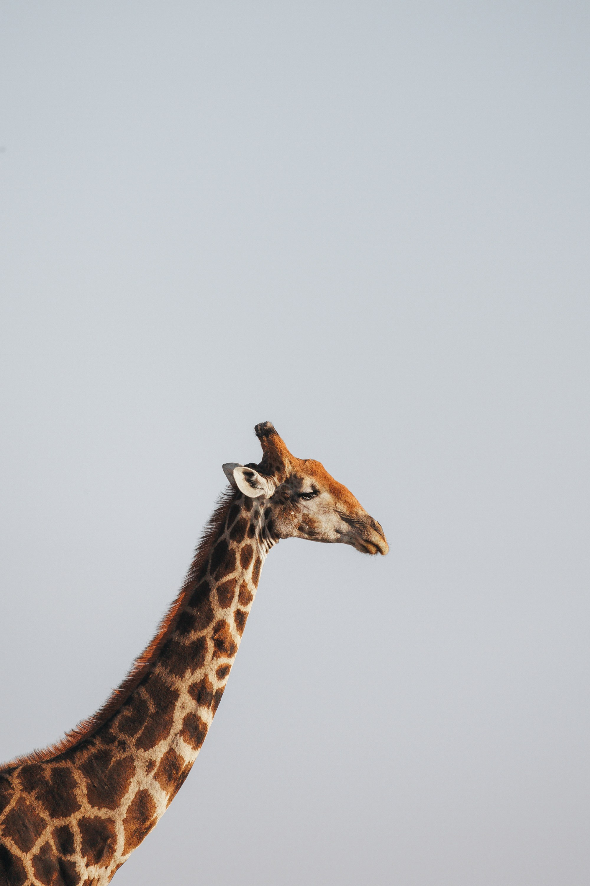 НАМИБИЯ. Роадтрип