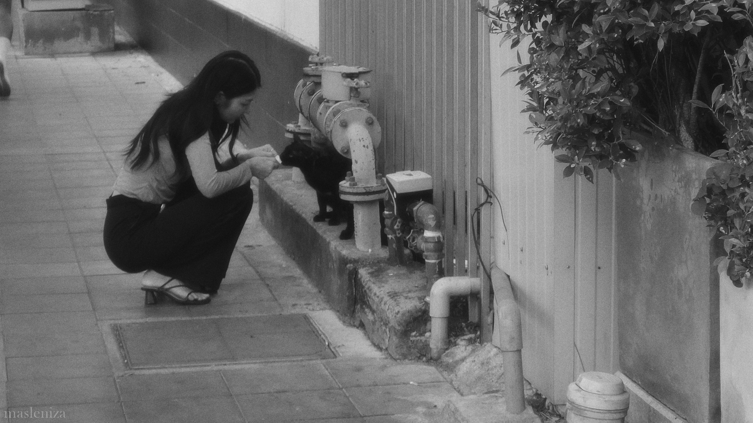 BANGKOK 2026. Фотограф Елизавета Маслова. Москва. Art, Fashion