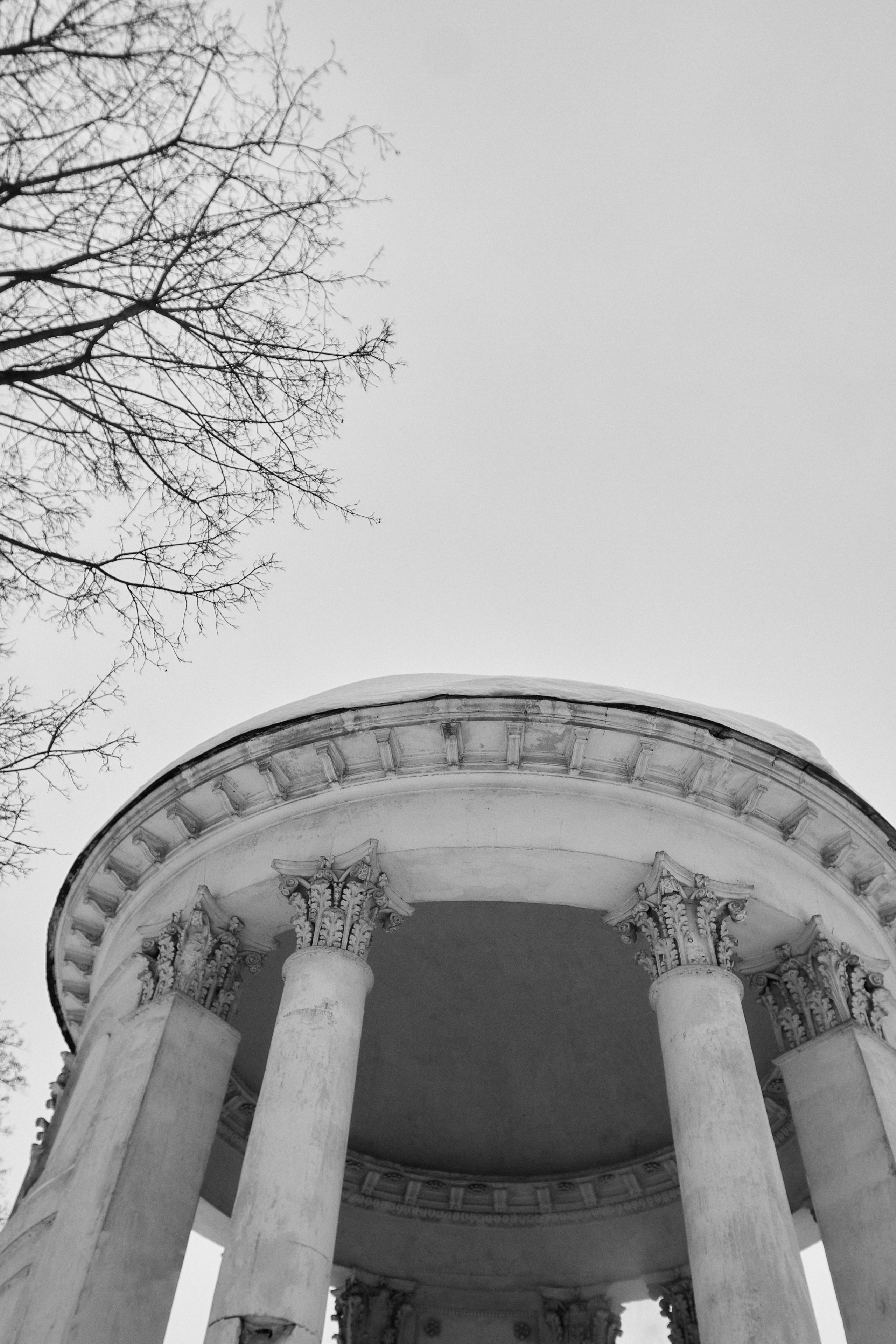 The way you look. Фотограф Елизавета Маслова. Москва. Art, Fashion