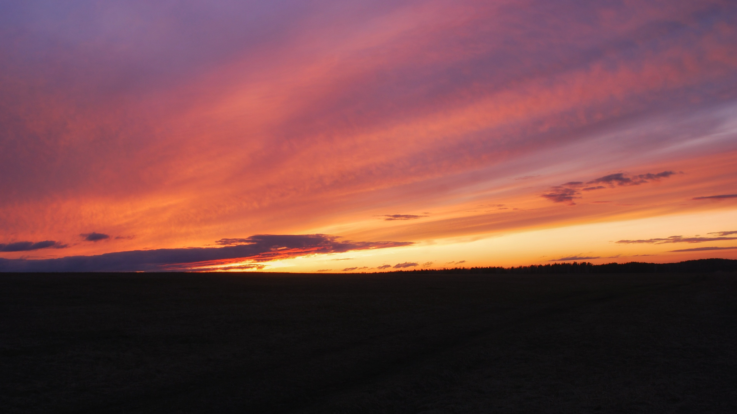 Этот прекрасный мир