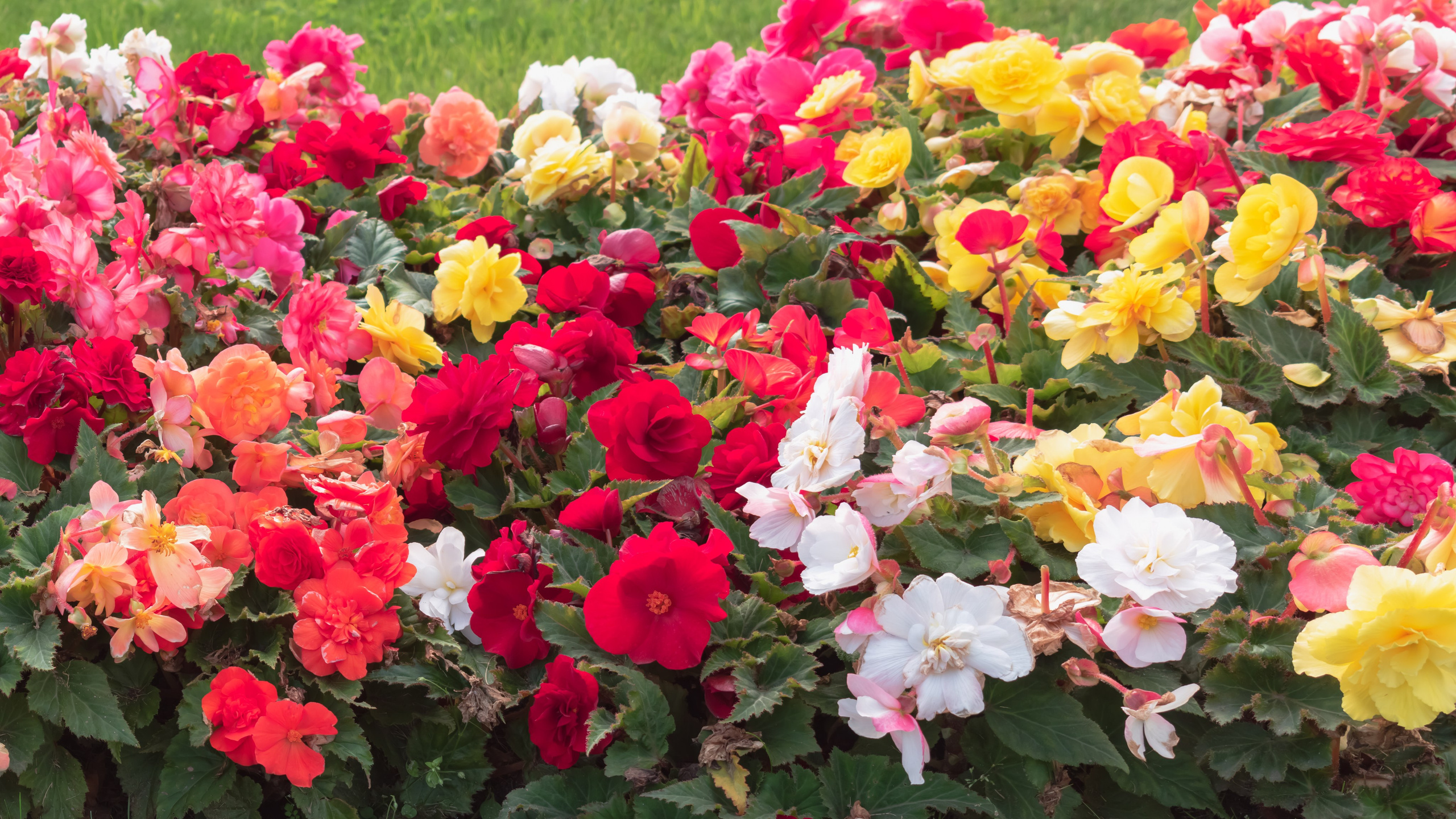 Москва. Фотограф в Набережных Челнах Мари Сенчик