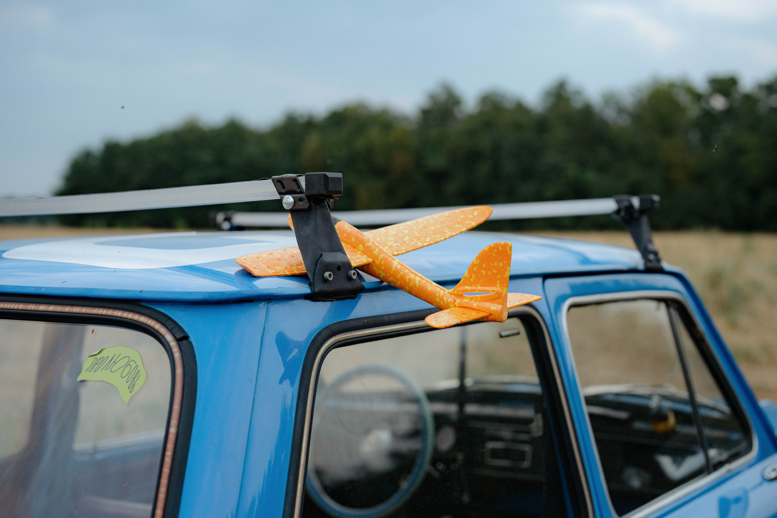 ASS FAMILY | СОН В ДЕРЕВНЕ | АВИАРЕЖИМ 8.0