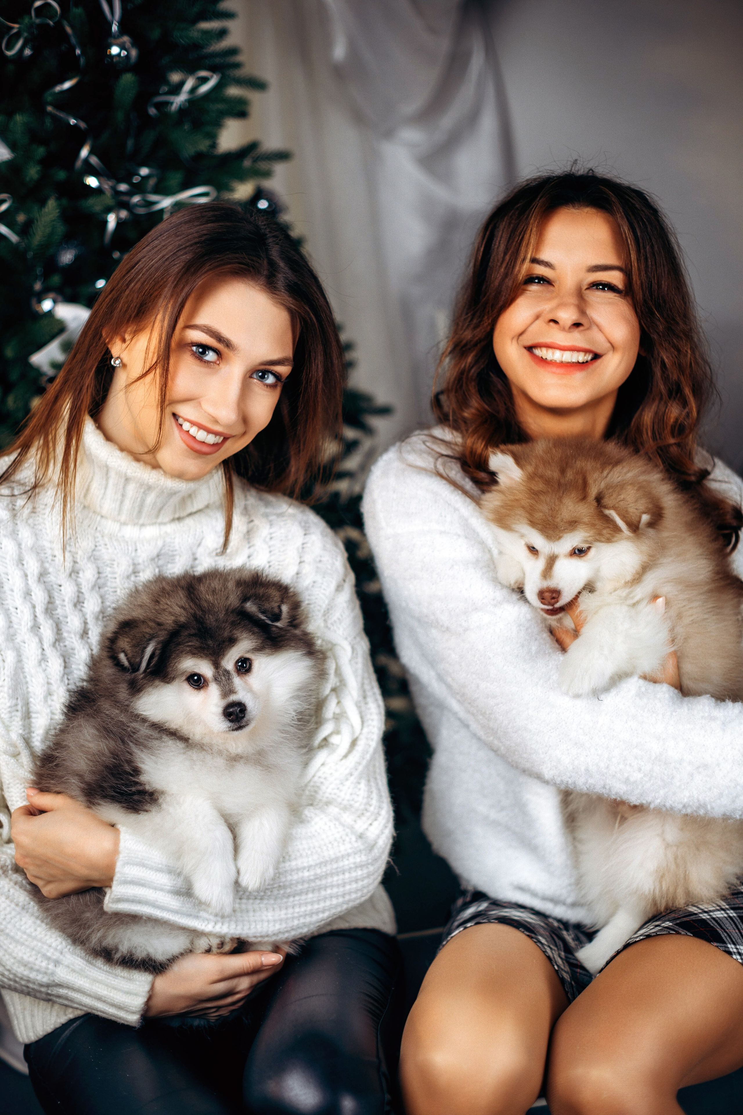 Съёмка со щенками