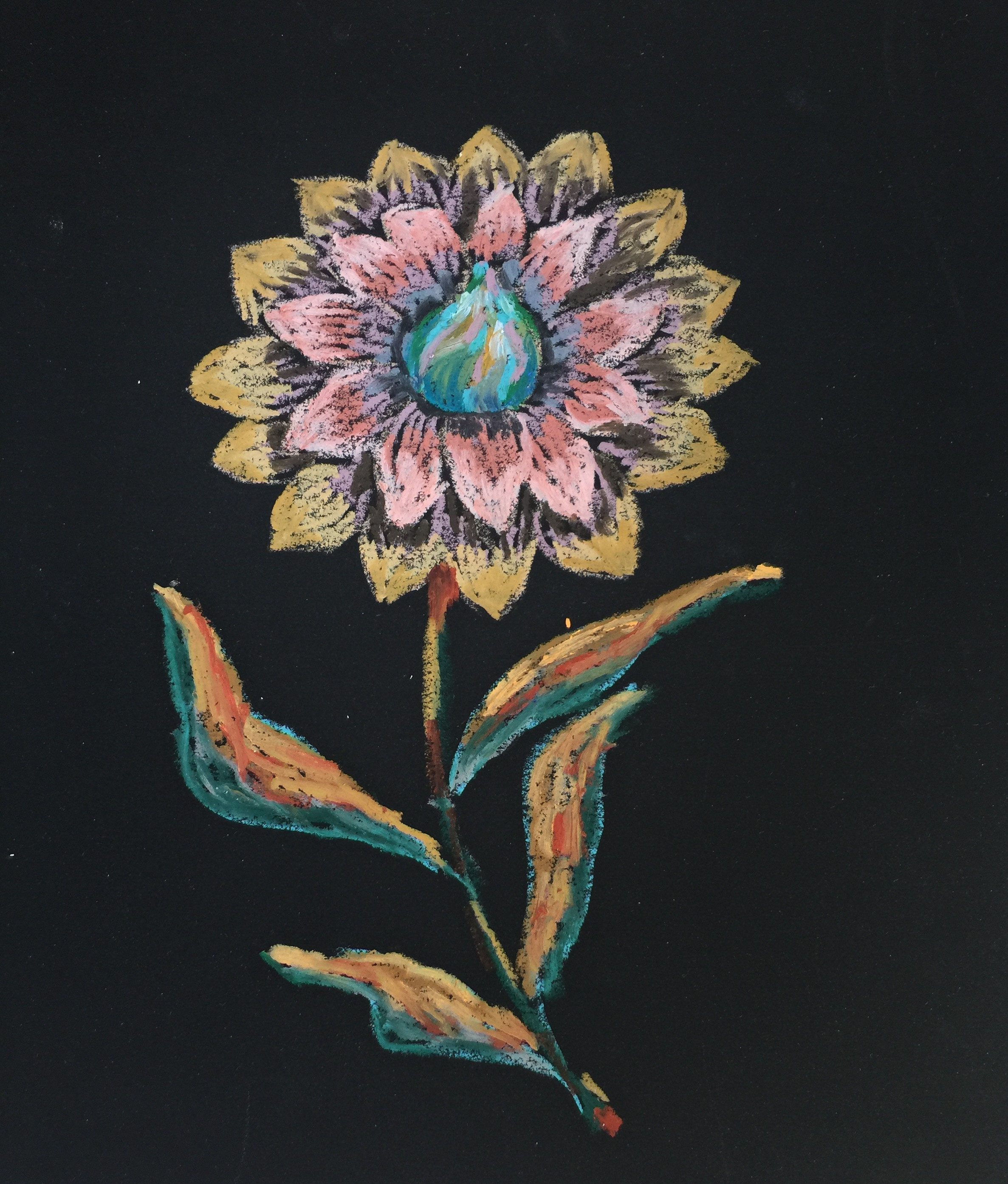 Название: Виктория регия 2020г.    Материал: масляная пастель, бумага   Размер: 20 х 25 см