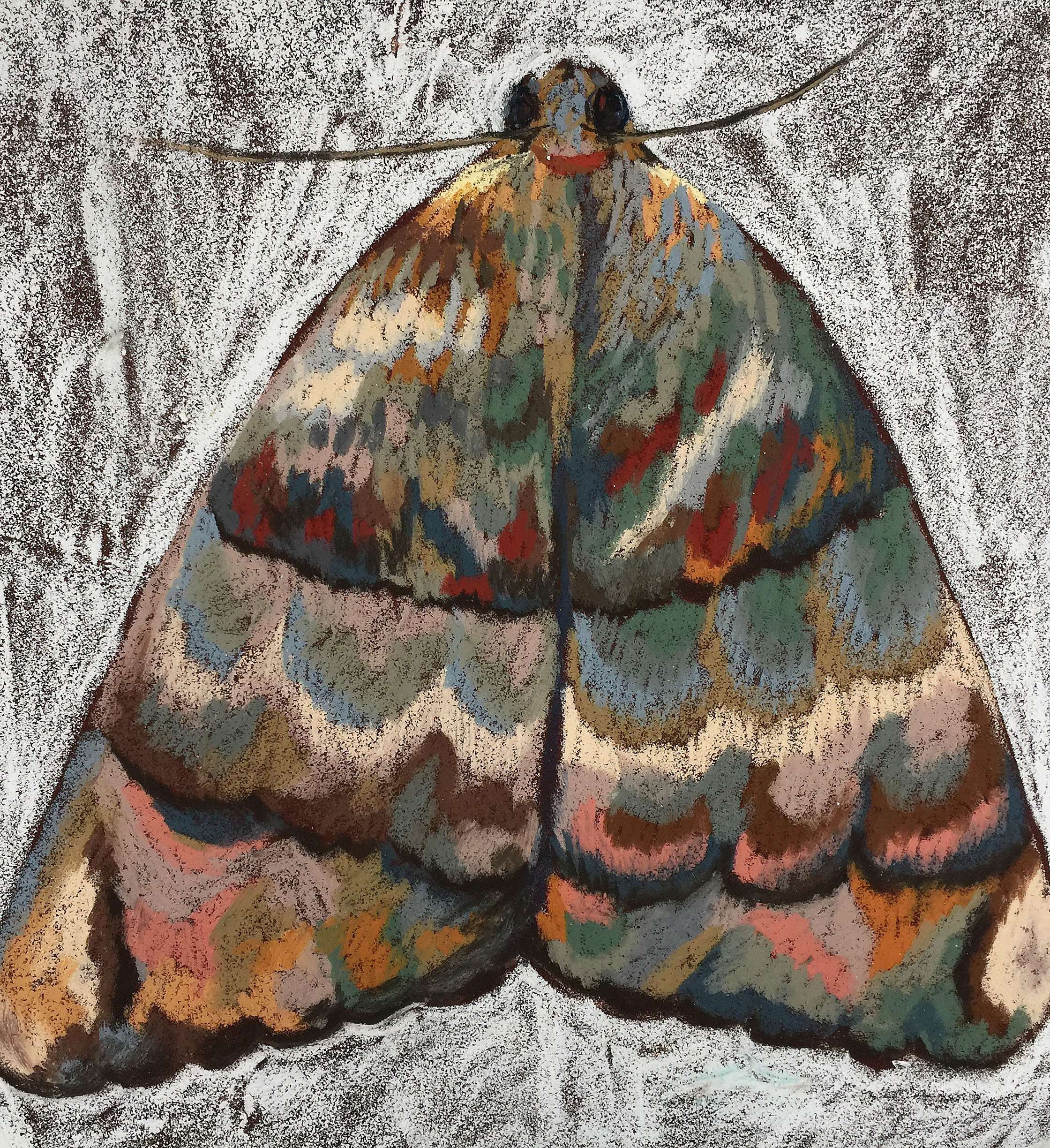 Title: Moth Medium: Oil Pastel on Paper Size: 50 x 40 cm Year: 2021