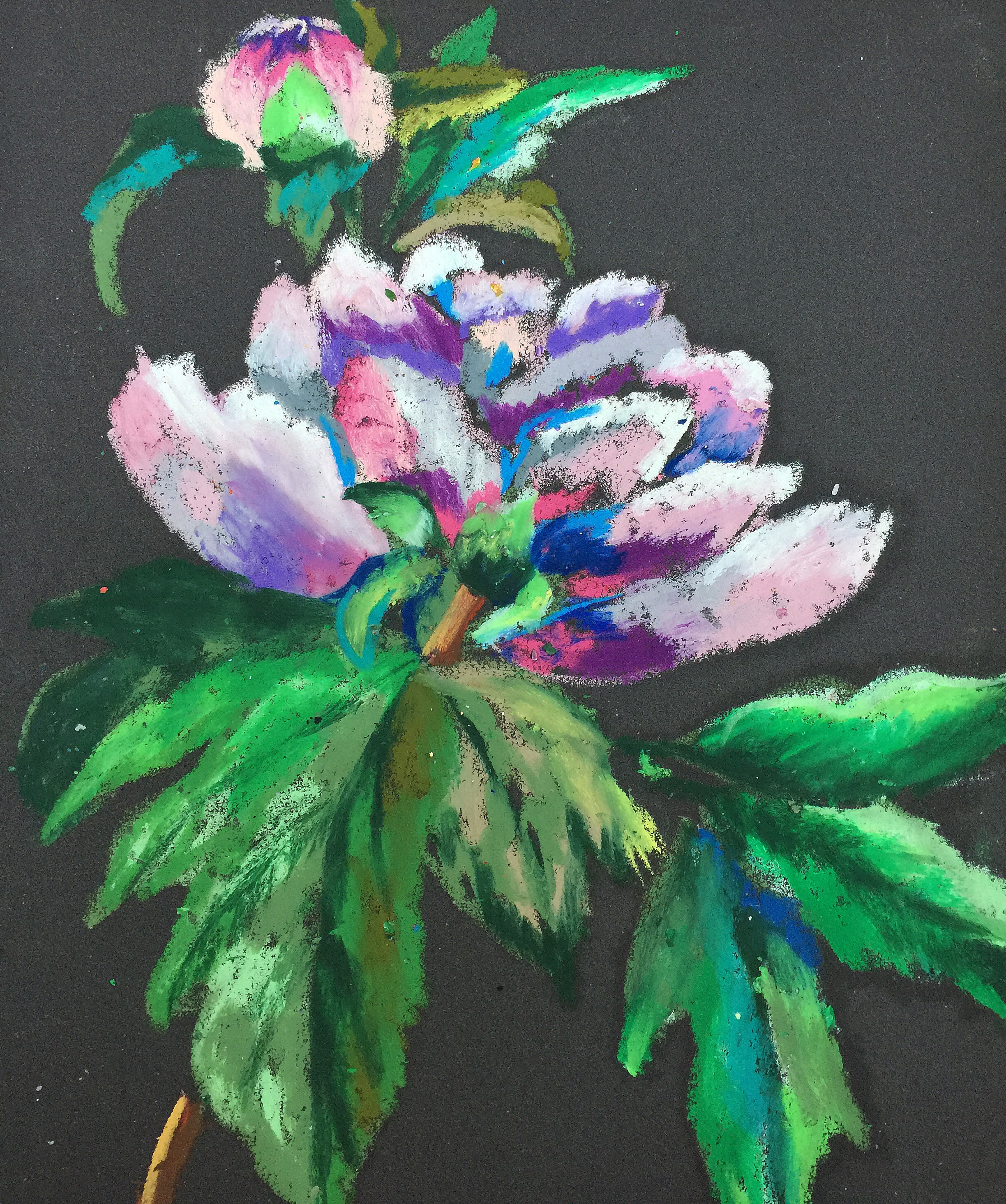Title: Peony Medium: Oil pastel on paper Size: 28 x 23 cmYear: 2019