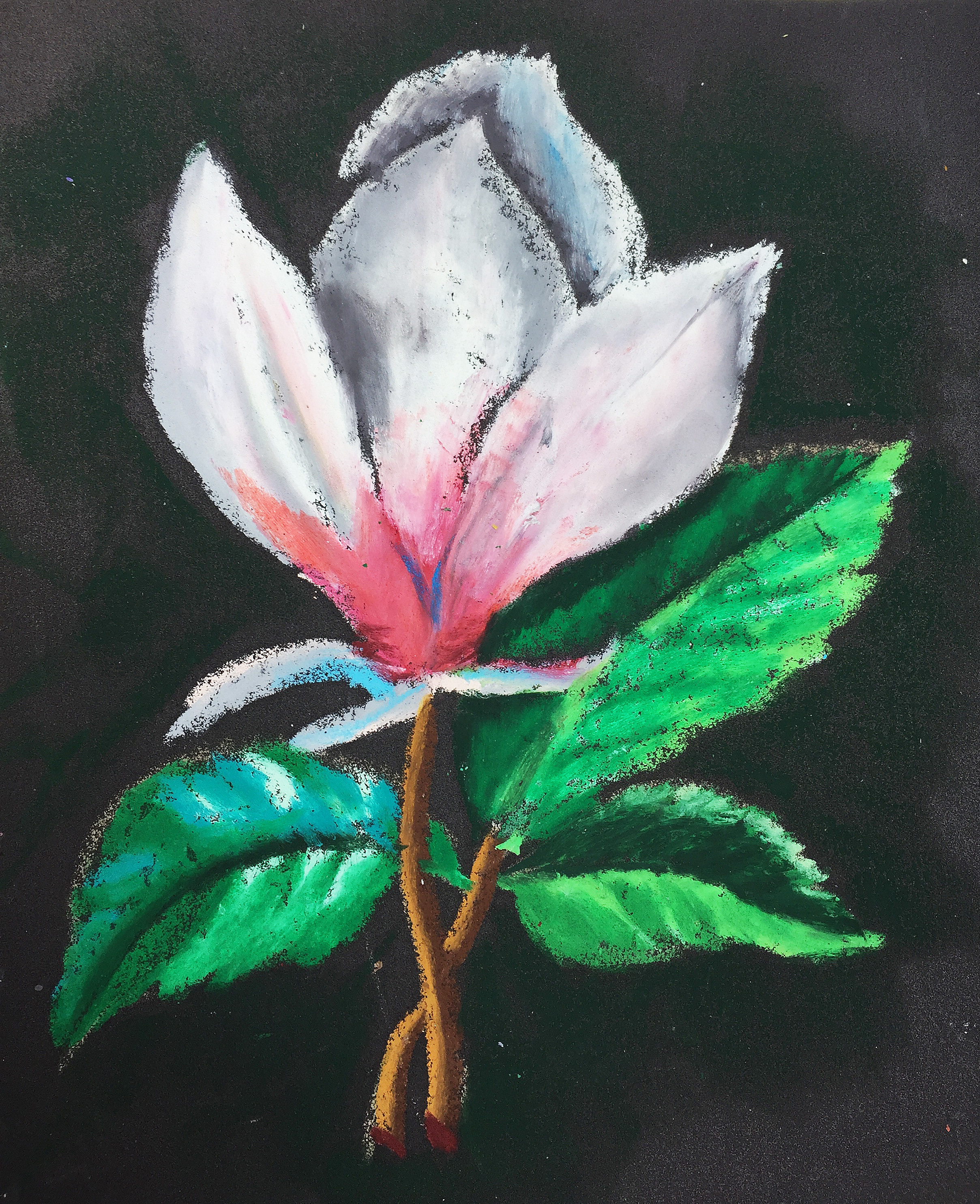 Title: Flower Medium: Oil pastel on paper Size: 28 x 23 cm Year: 2019