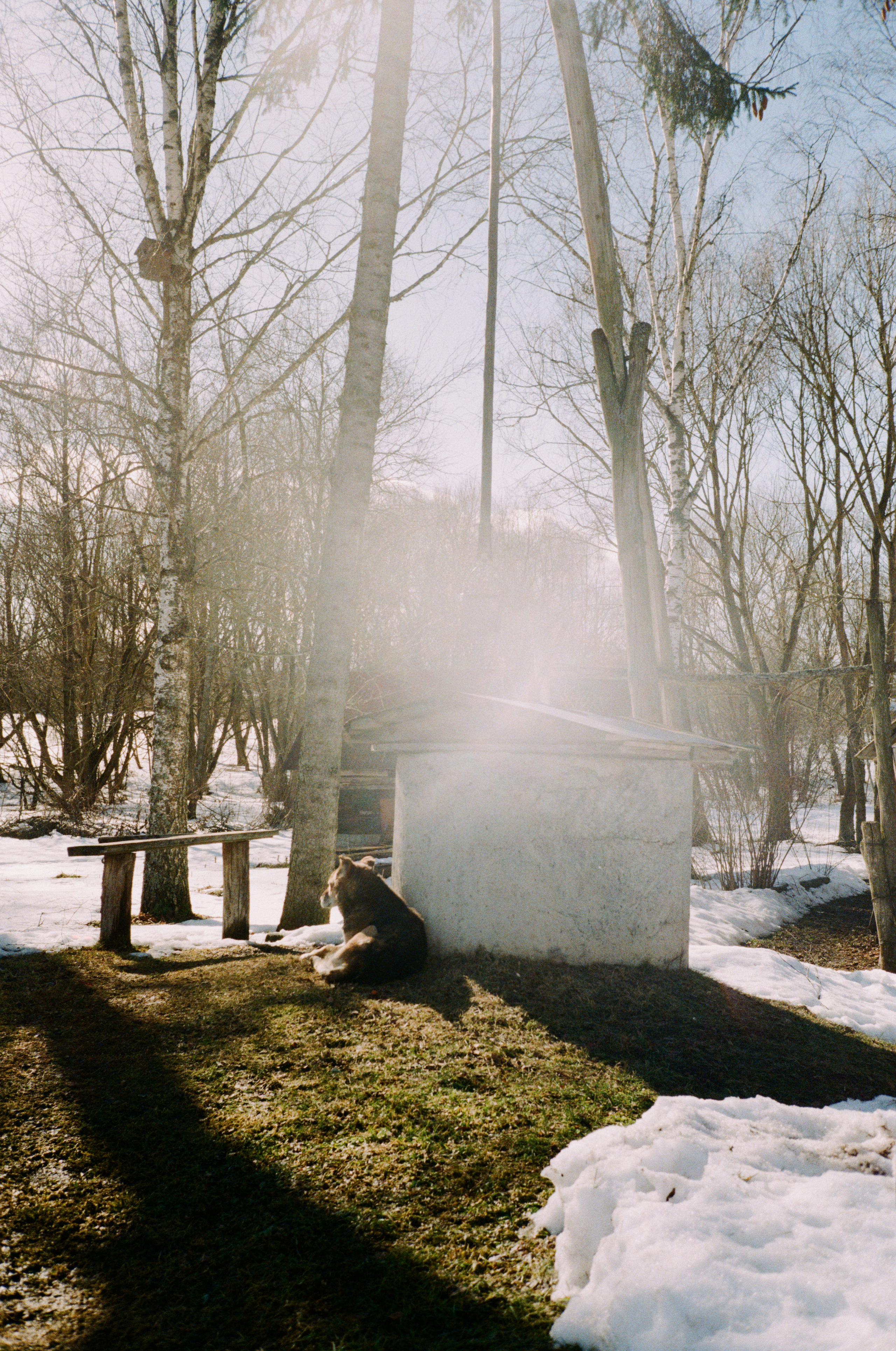 Pavlovka village. Artist Maria Ansh